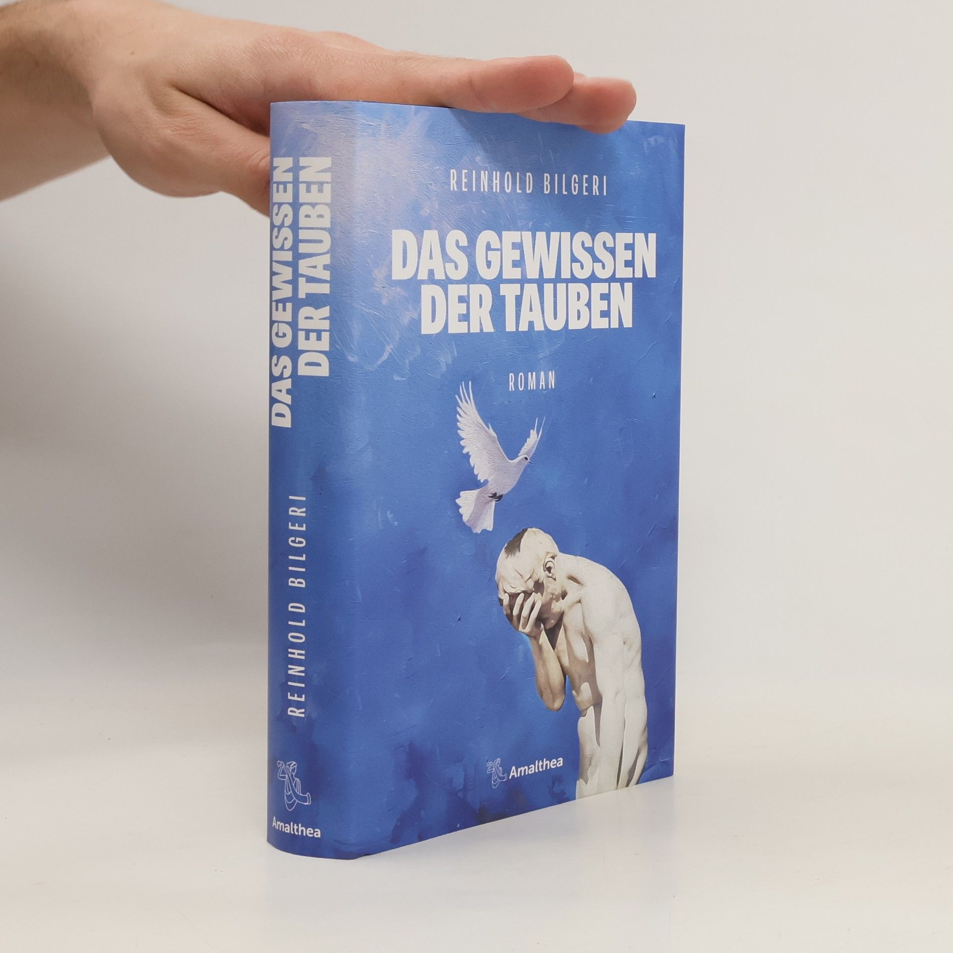 Reinhold Bilgeri Das Gewissen der Tauben