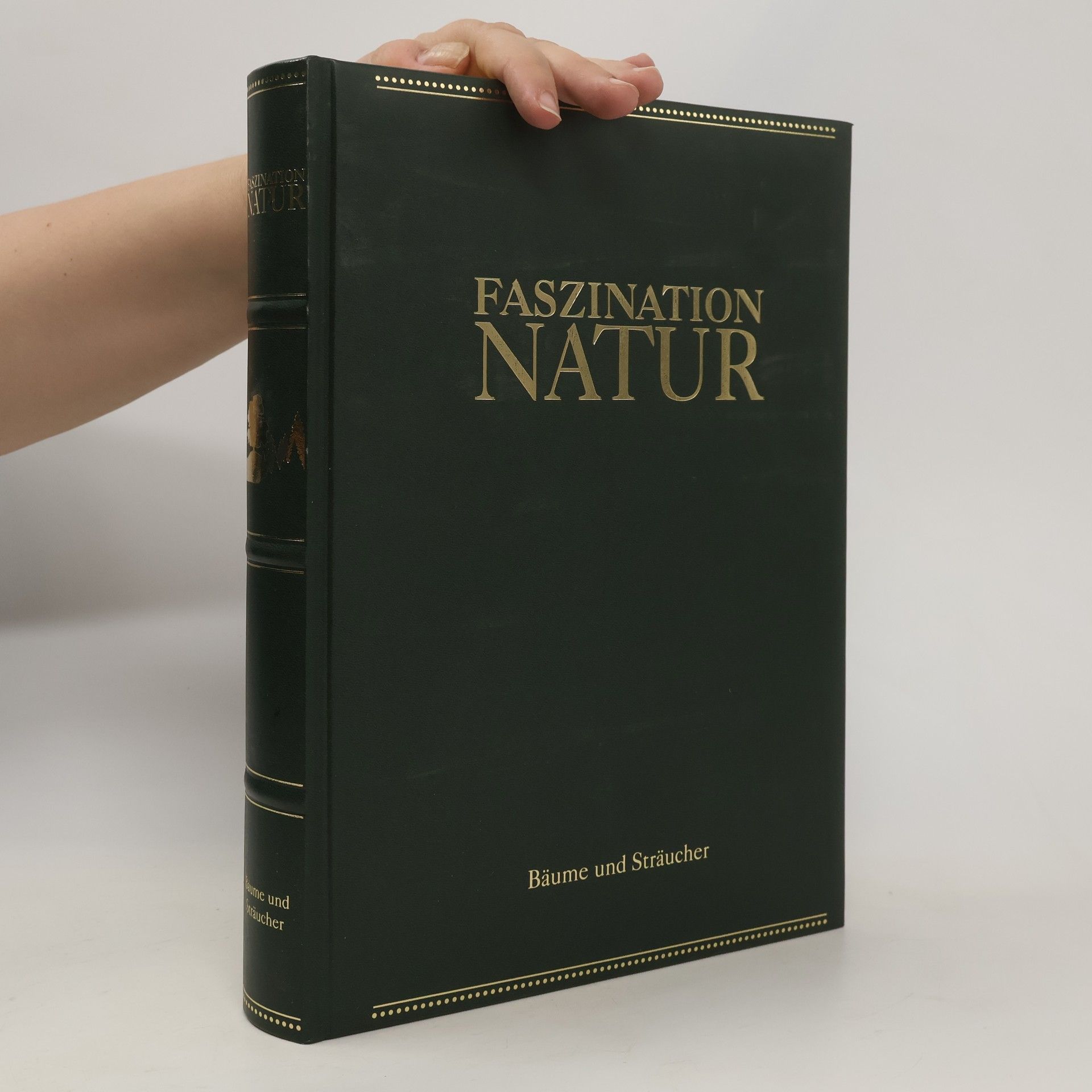 Bernadette Andre Wallis Faszination Natur