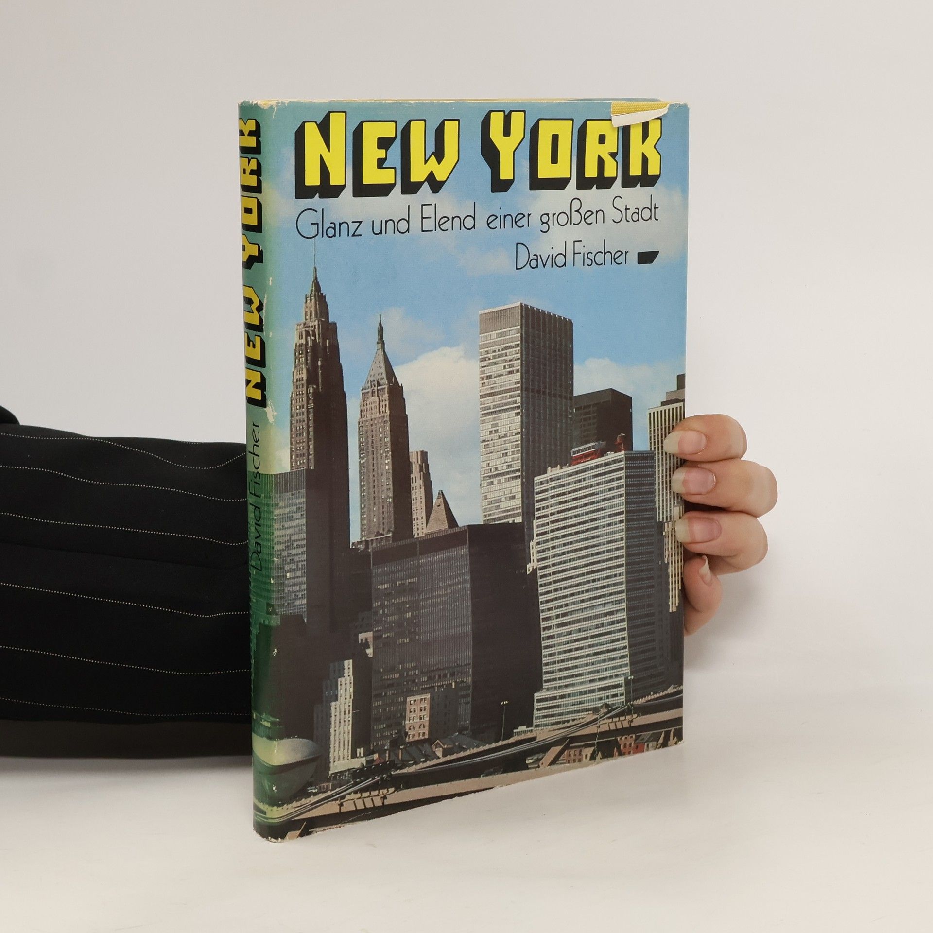 David Fischer New York : Glanz und Elend einer großen Stadt