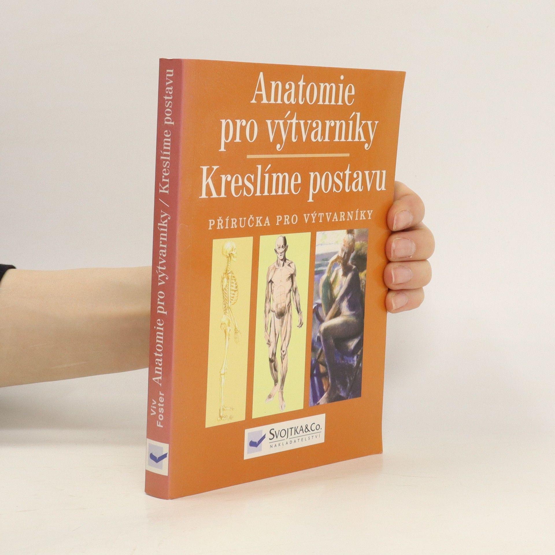 Autorenkollektiv Anatomie pro výtvarníky: Kreslíme postavu