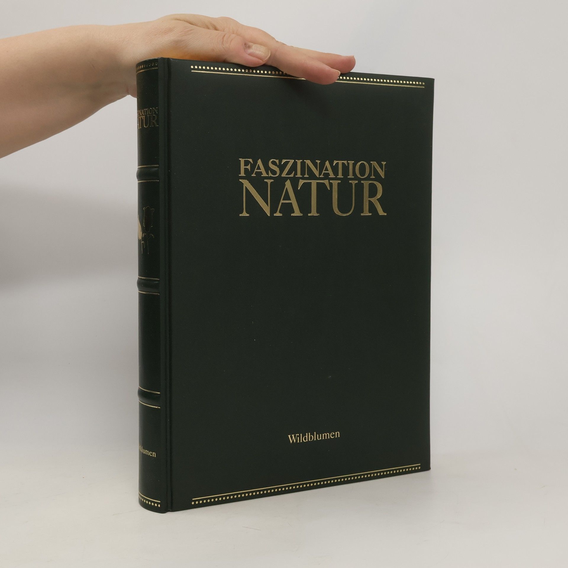 Bernadette Andre Wallis Faszination Natur