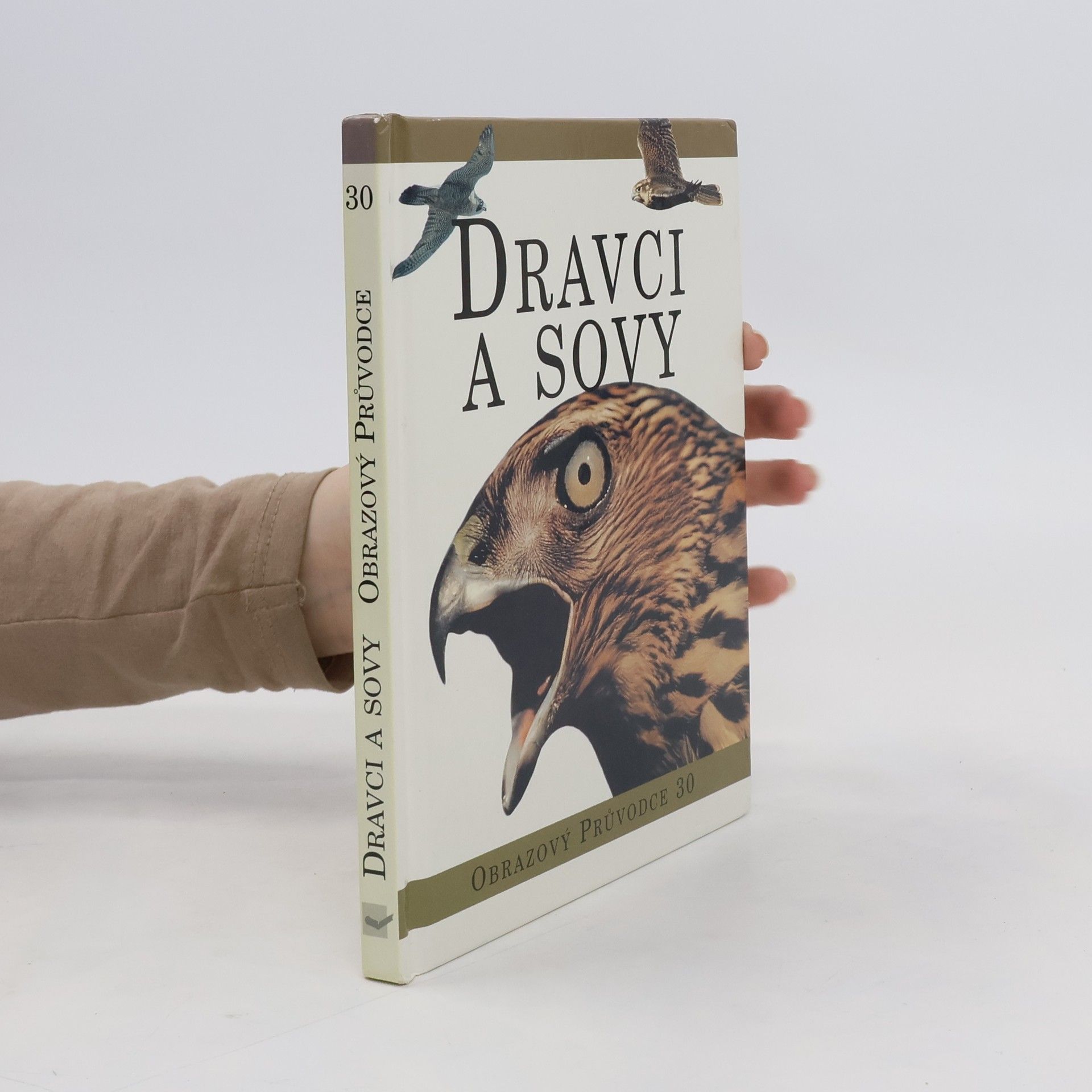 Collective Dravci a sovy