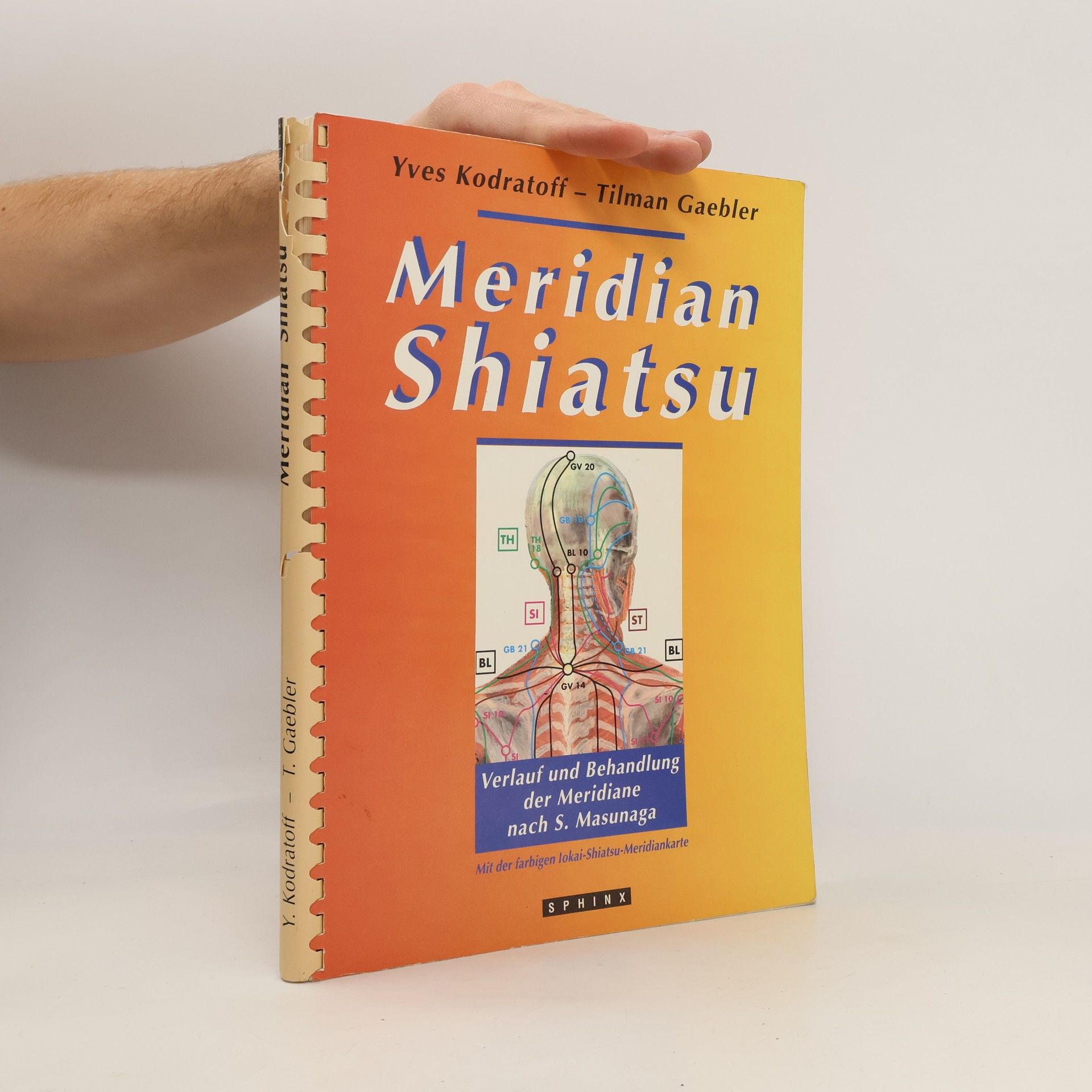 Yves Kodratoff Meridian-Shiatsu