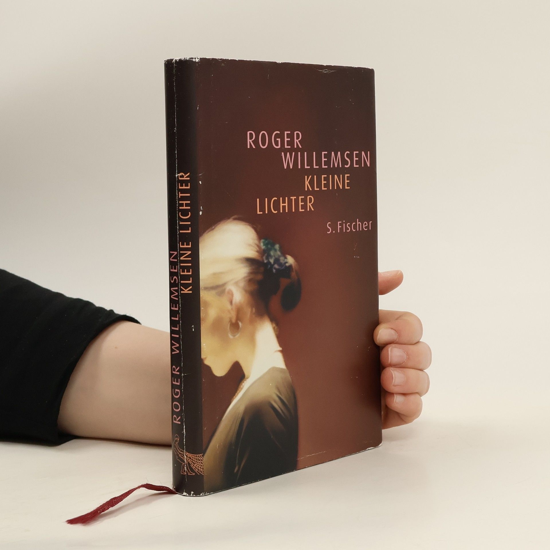 Roger Willemsen Kleine Lichter