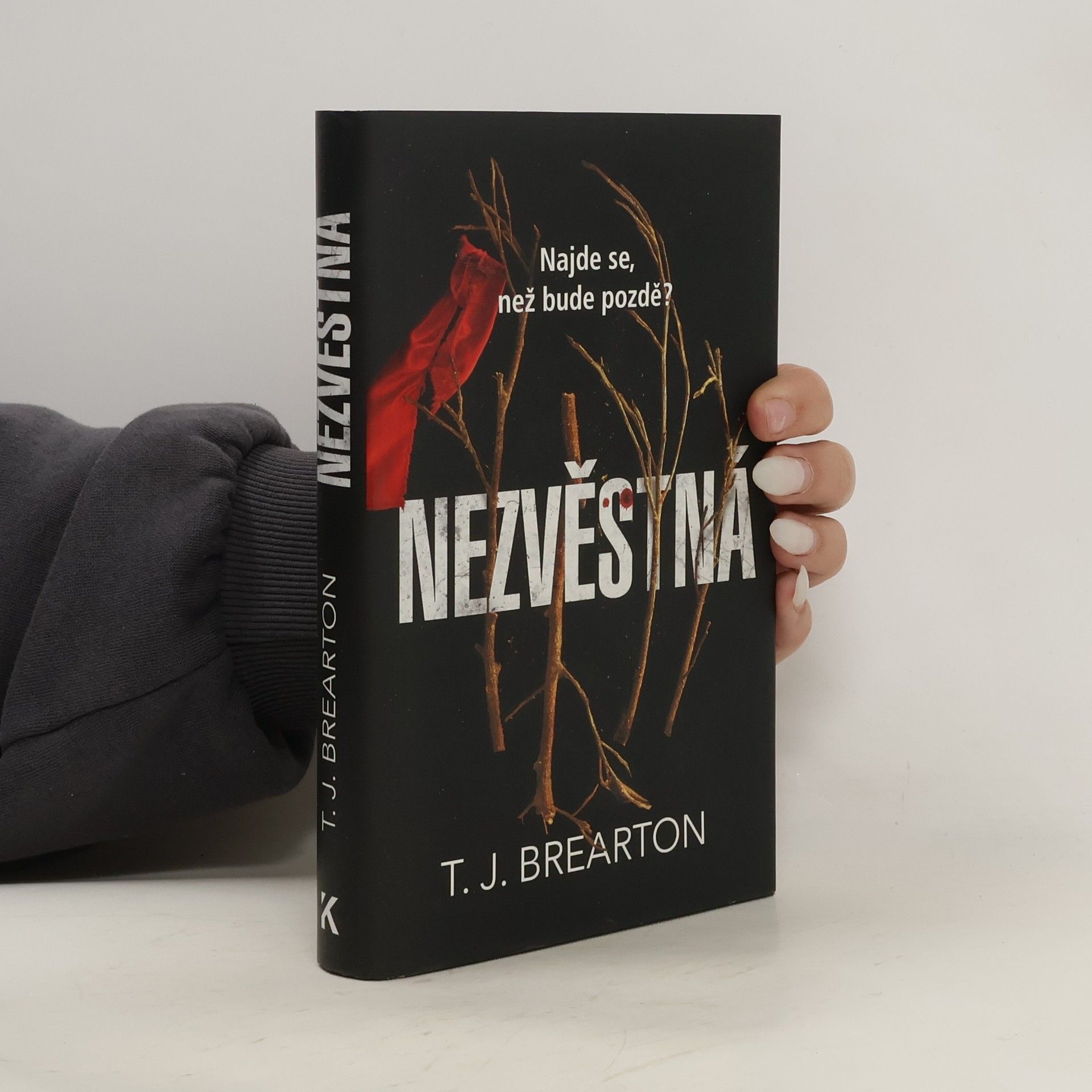 T. J. Brearton Nezvěstná