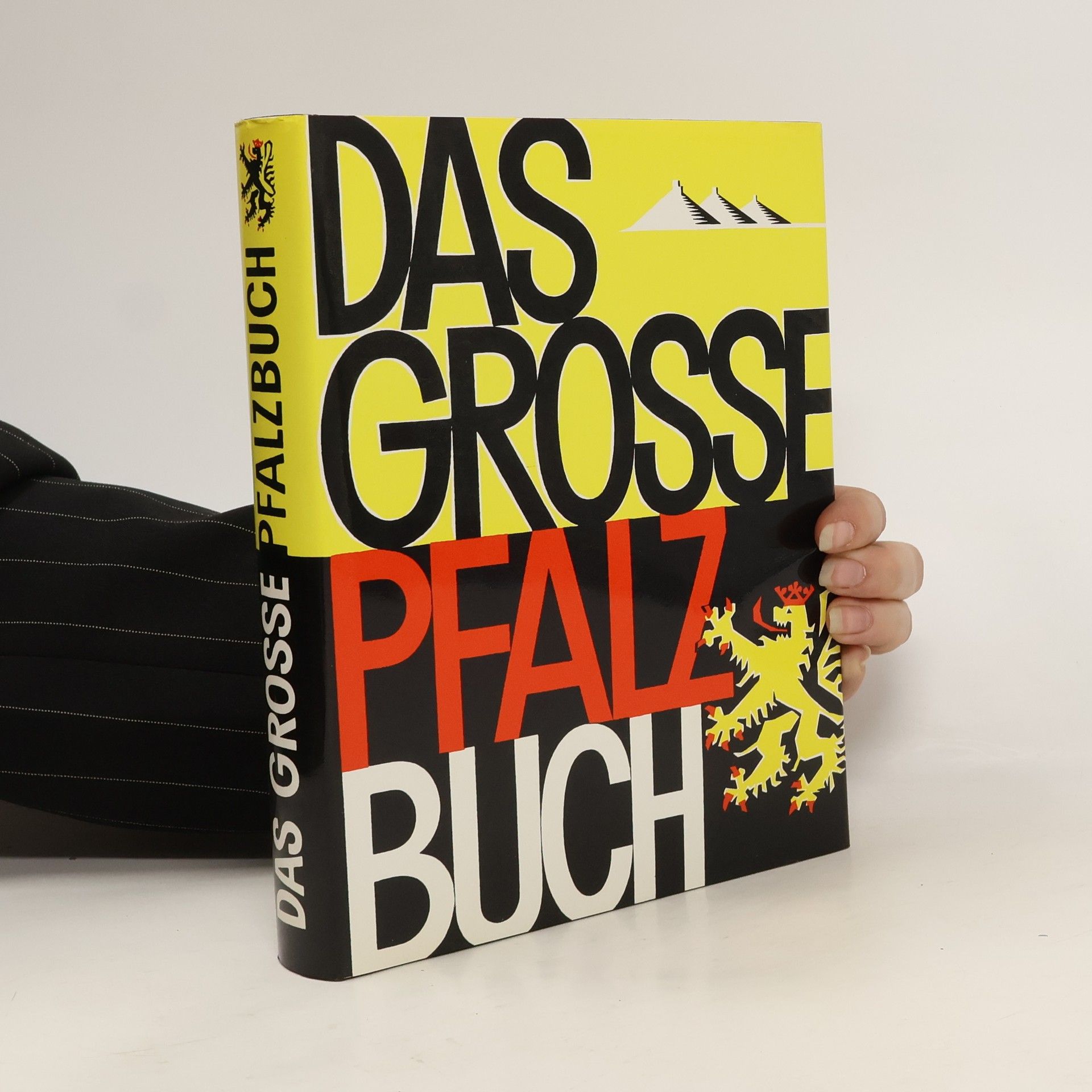 kolektiv Das grosse Pfalzbuch