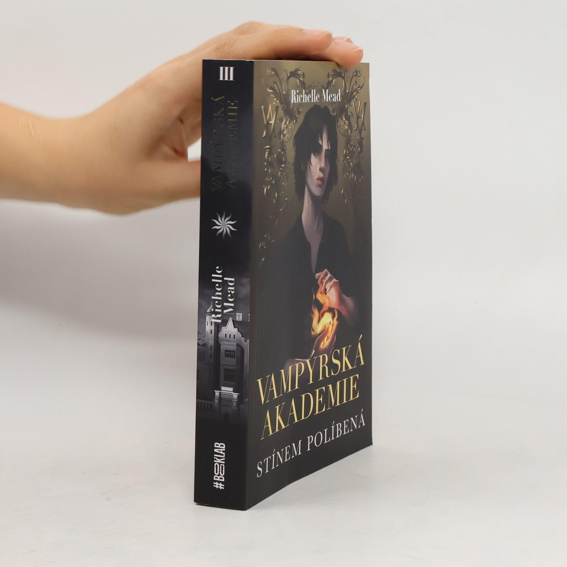 Richelle Mead Vampýrská akademie. Stínem políbená