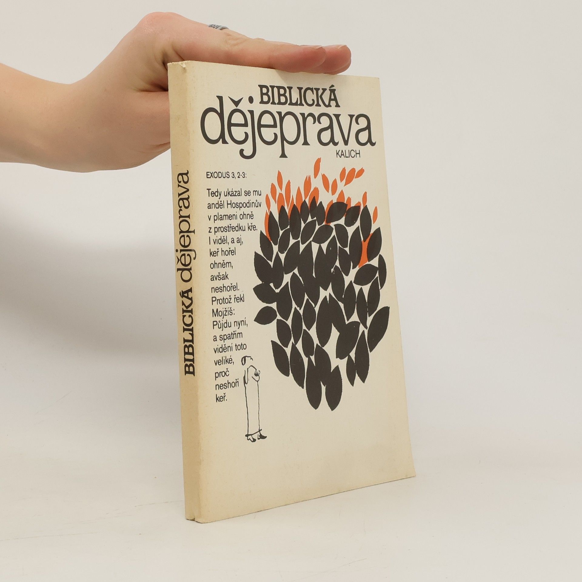 Collectif d'auteurs Biblická dějeprava
