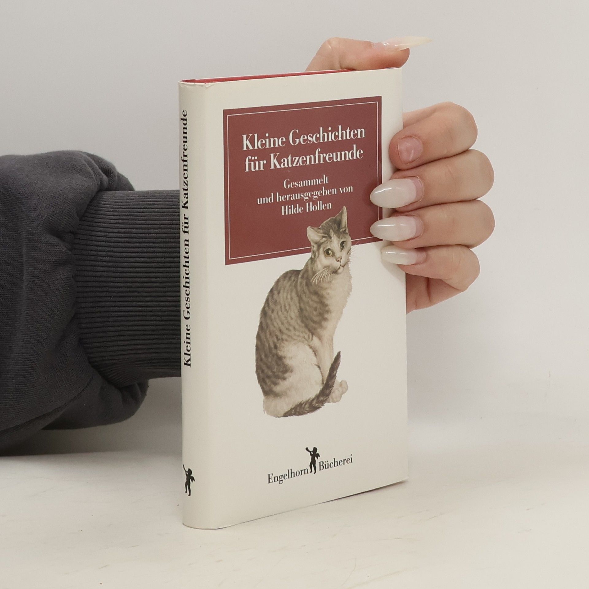 Hilde Hollen Kleine Geschichten für Katzenfreunde