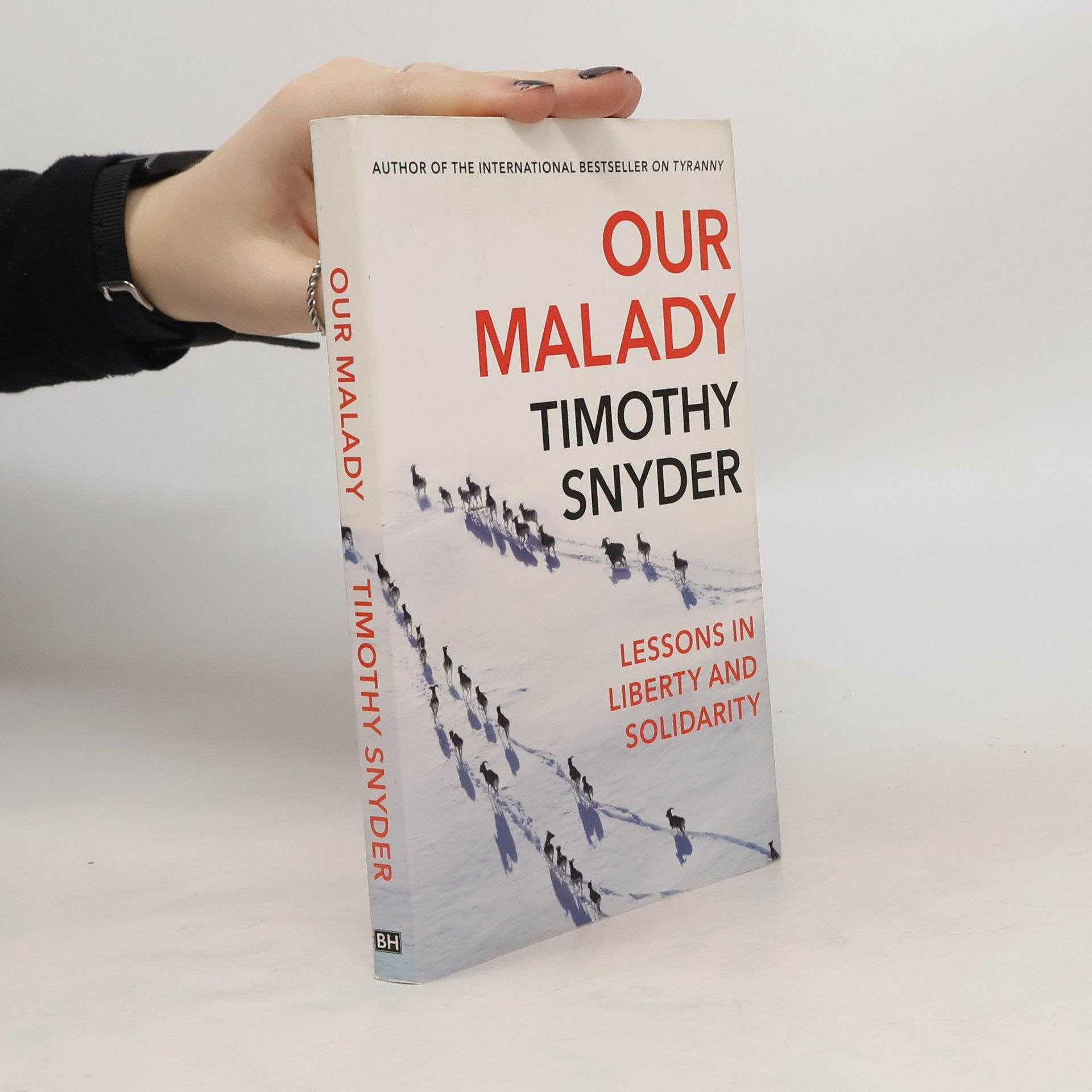 Timothy Snyder Our Malady