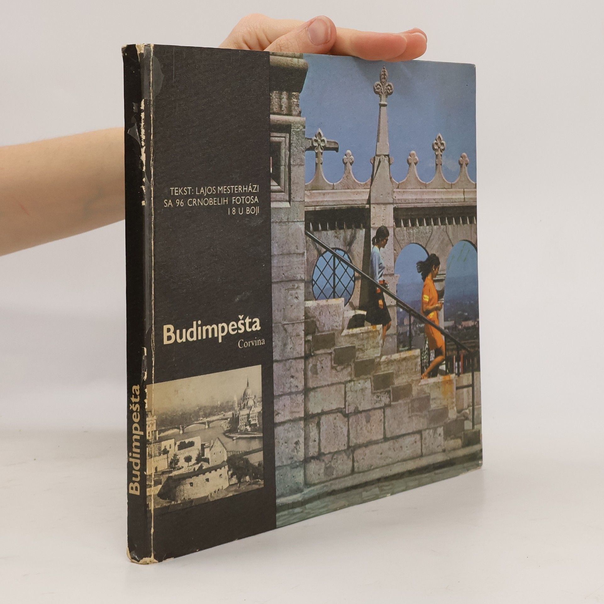 Lajos Mesterházi Budapest