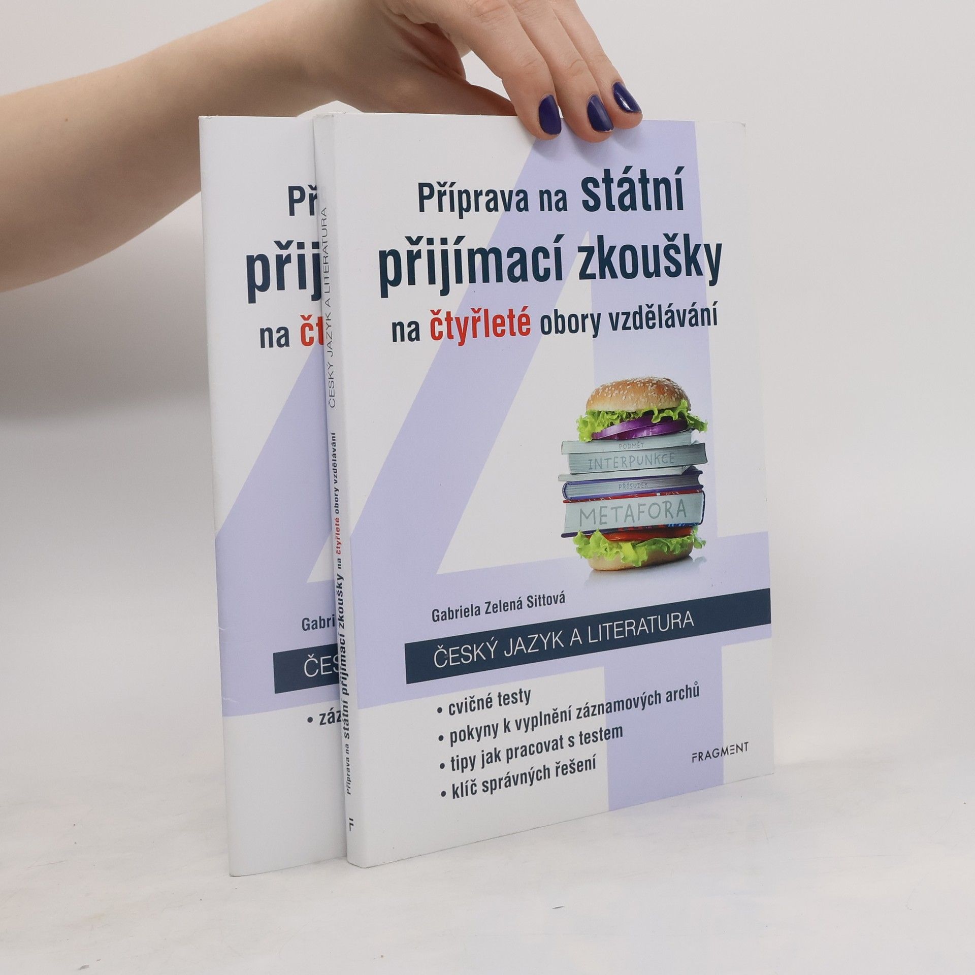 Příprava na státní přijímací zkoušky na čtyřleté obory vzdělávání