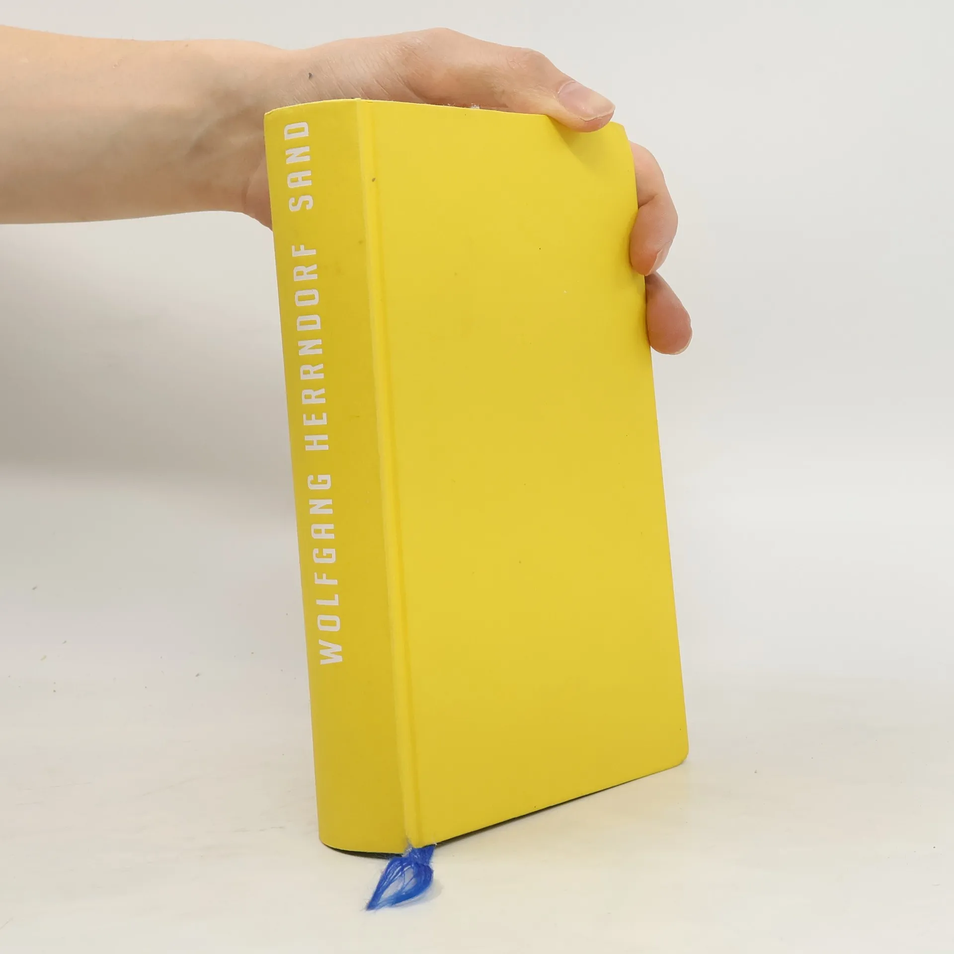 Sand | Book | Wolfgang Herrndorf | DE