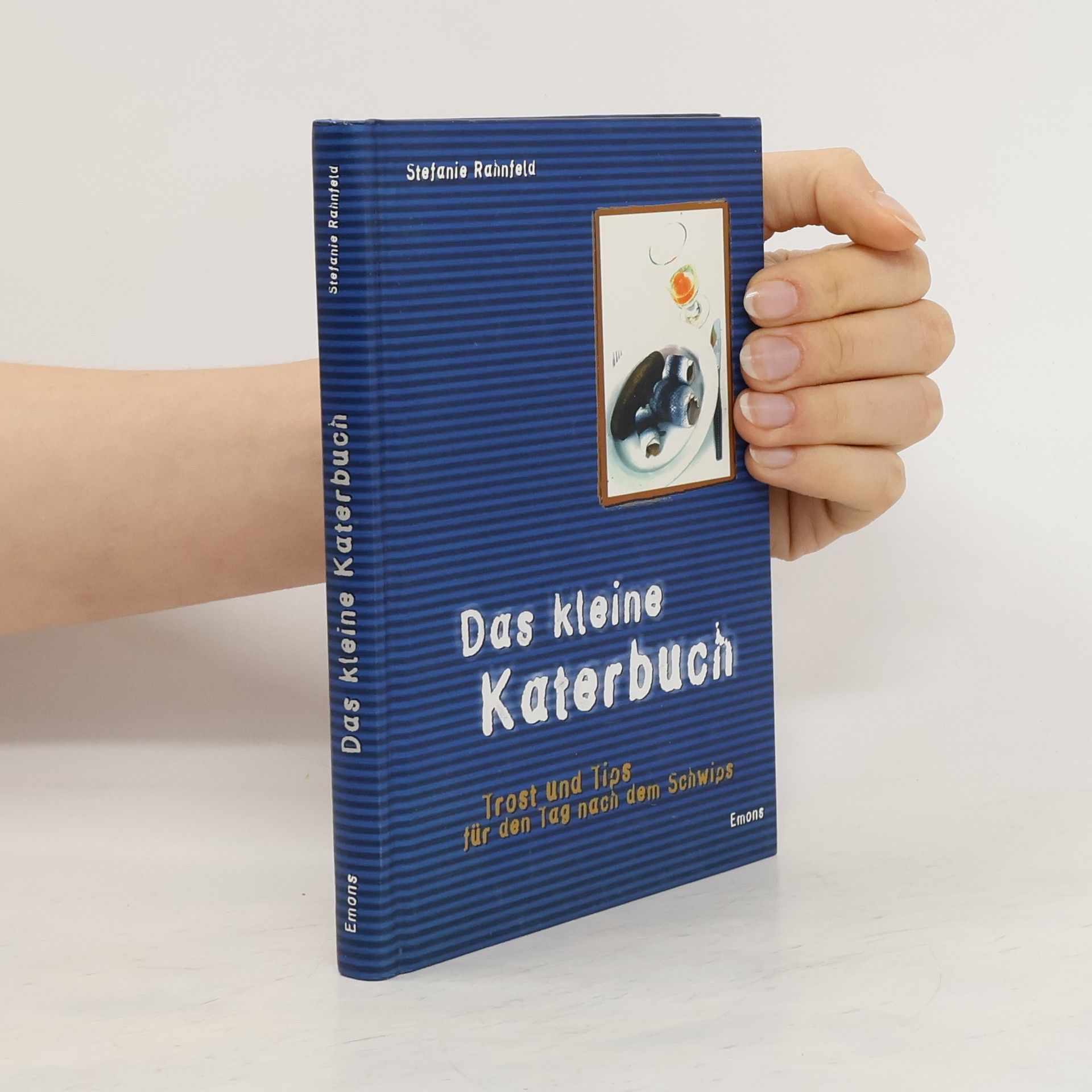 Stefanie Rahnfeld Das kleine Katerbuch