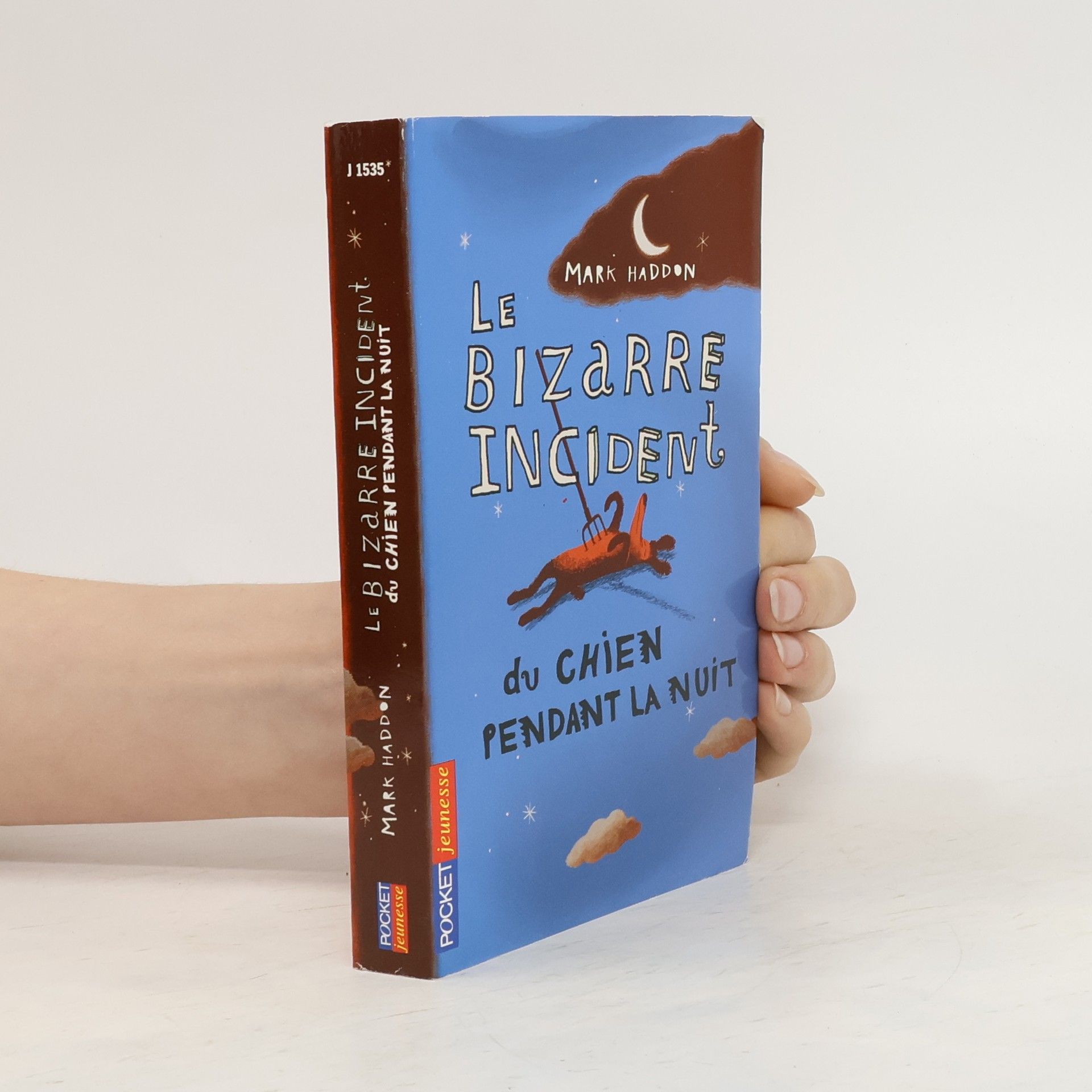 Mark Haddon Le Bizarre incident du chien pendant la nuit