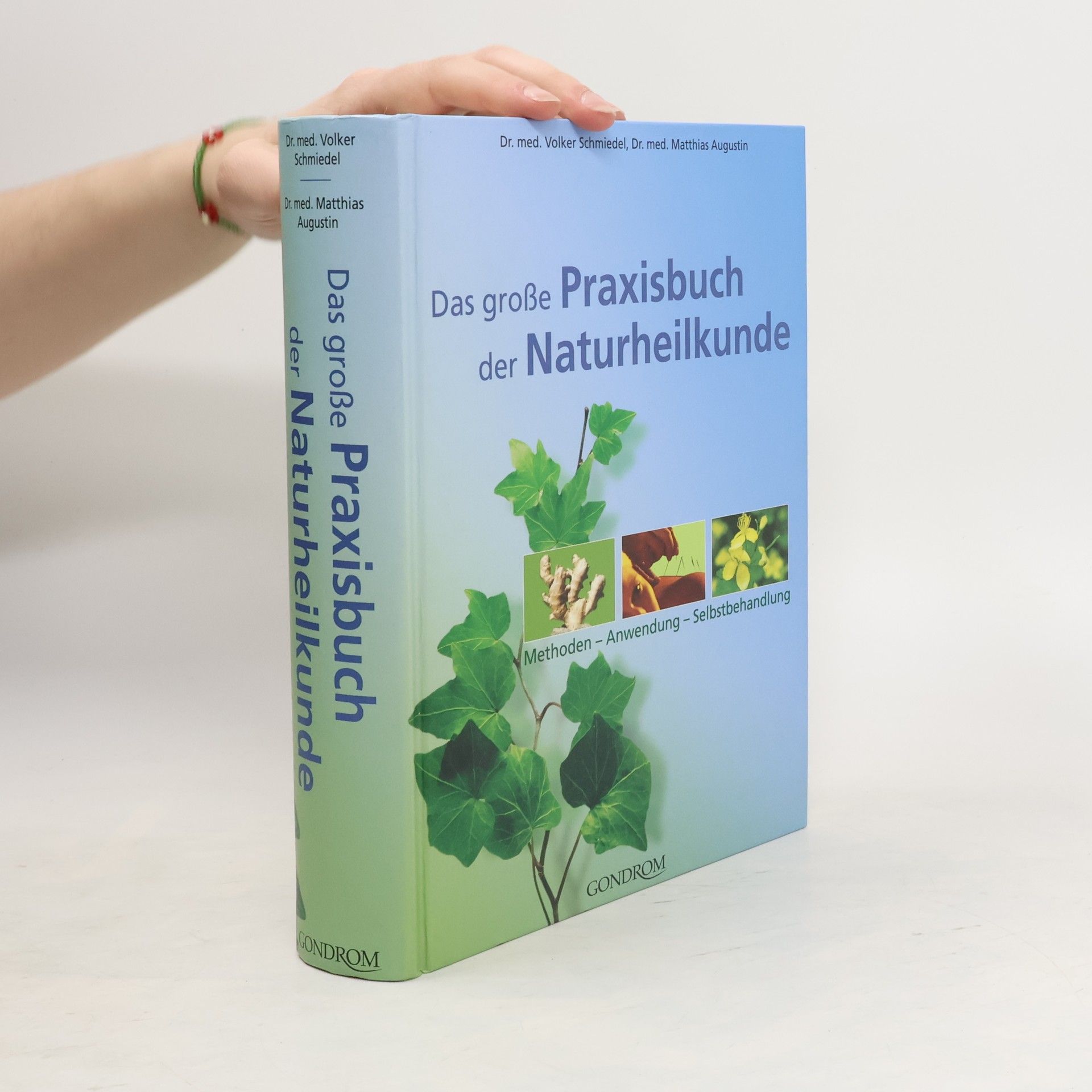 Volker Schmiedel Das große Praxisbuch der Naturheilkunde