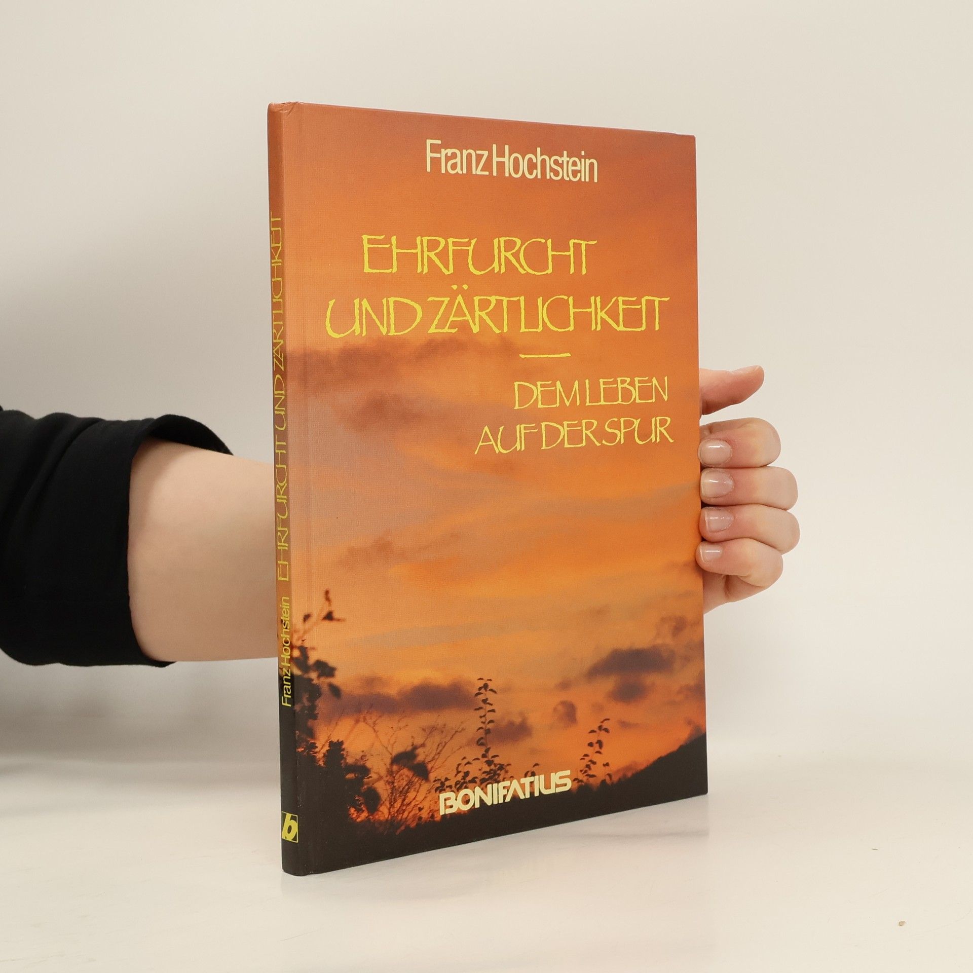 Franz Hochstein Ehrfurcht und Zärtlichkeit