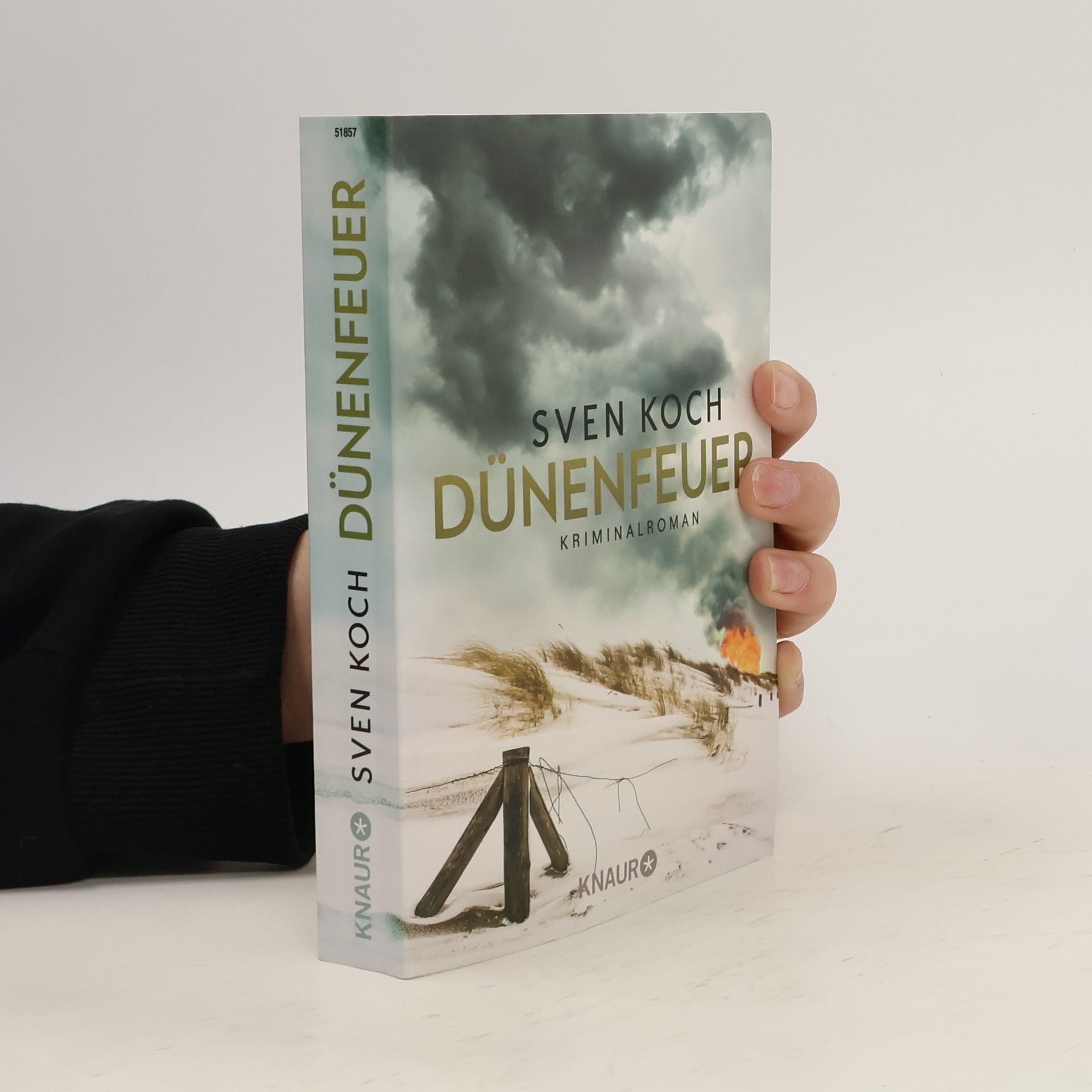 Sven Koch Dünenfeuer
