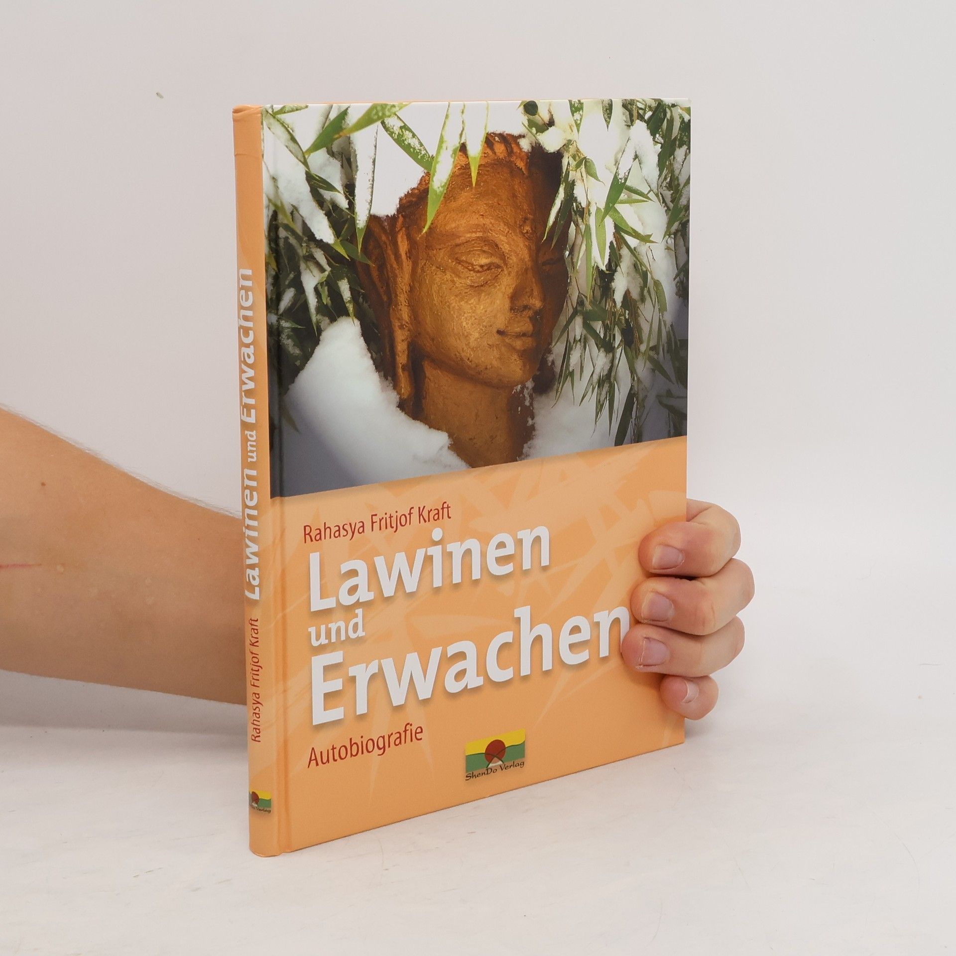 Rahasya Fritjof Kraft Lawinen und Erwachen