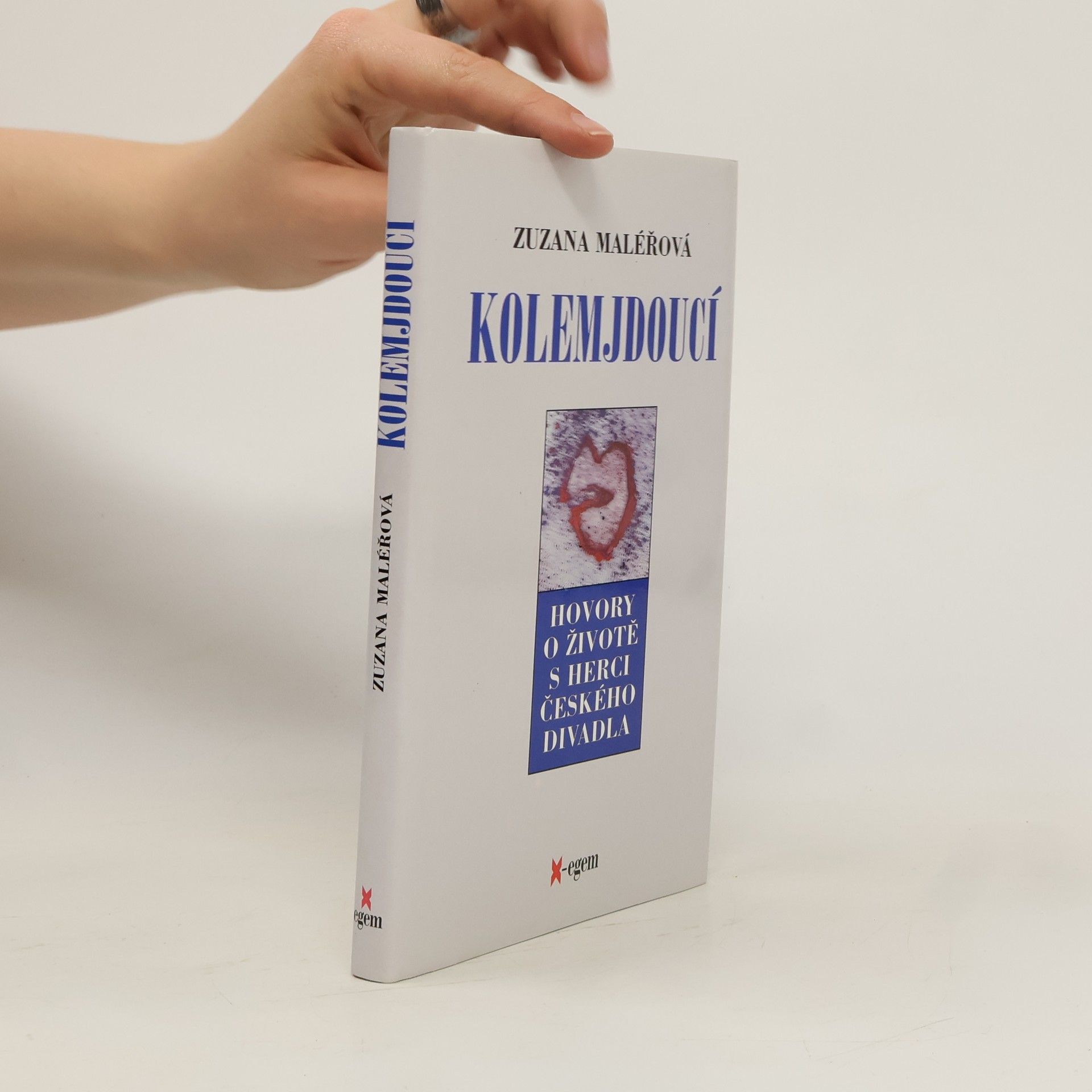 Zuzana Maléřová Kolemjdoucí
