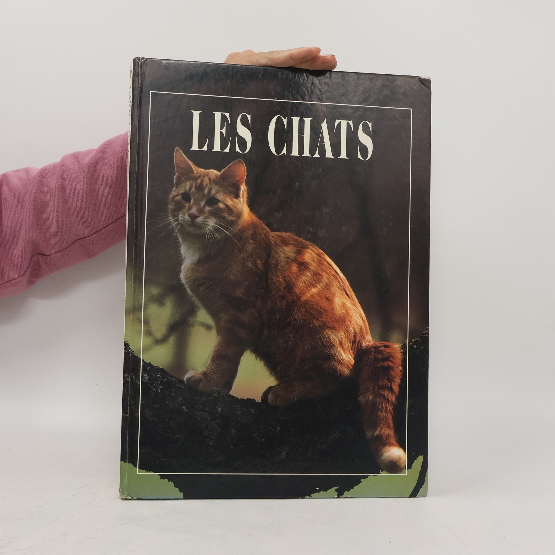 Angela Rixon Les chats