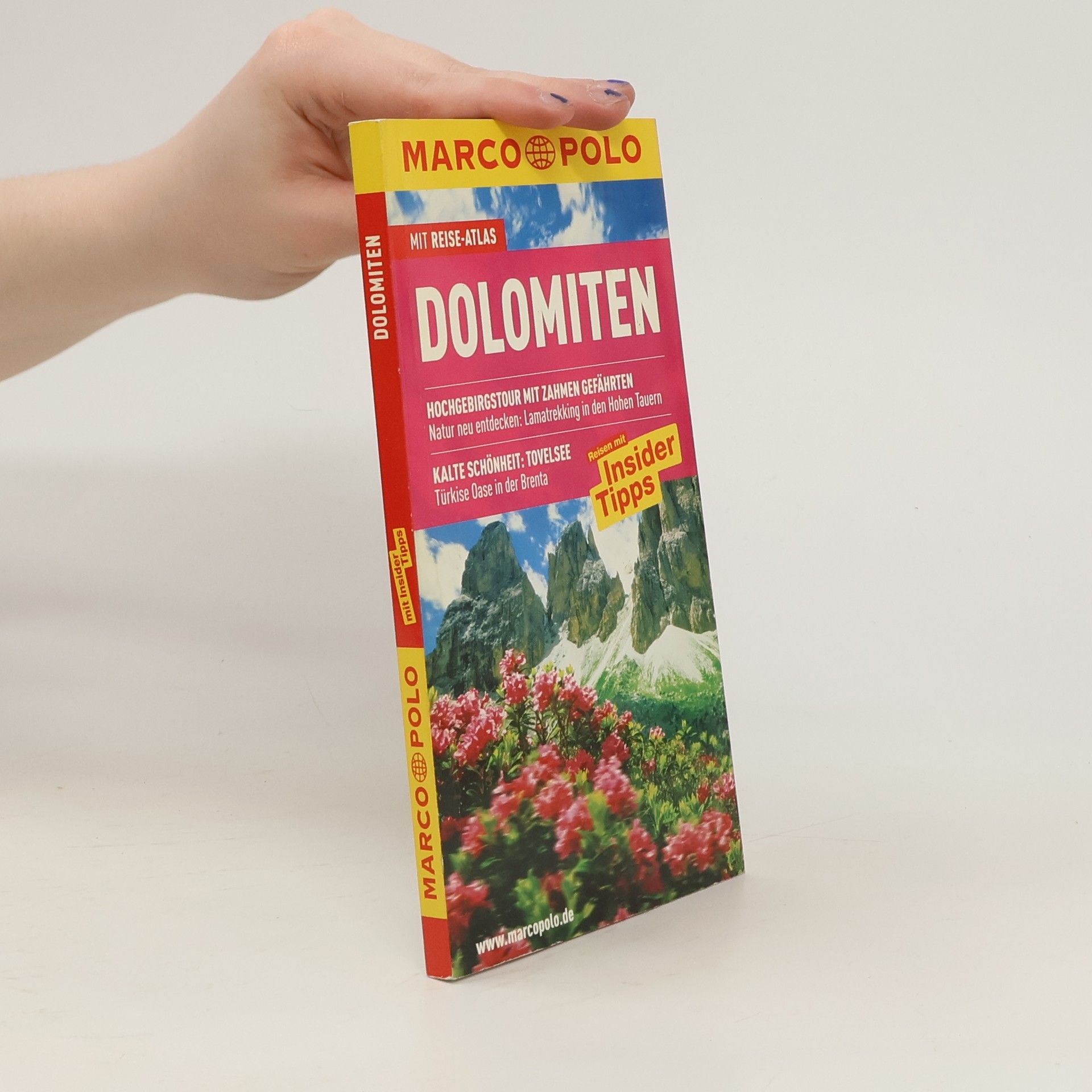 Oswald Stimpfl Dolomiten