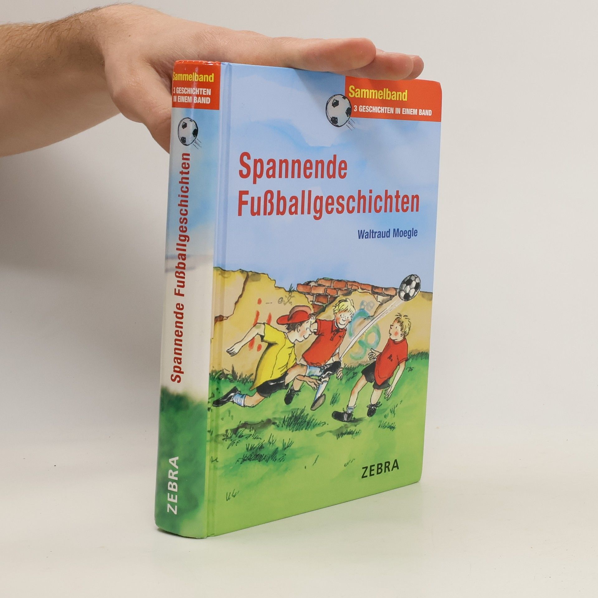 Waltraud Moegle Spannende Fussballgeschichten