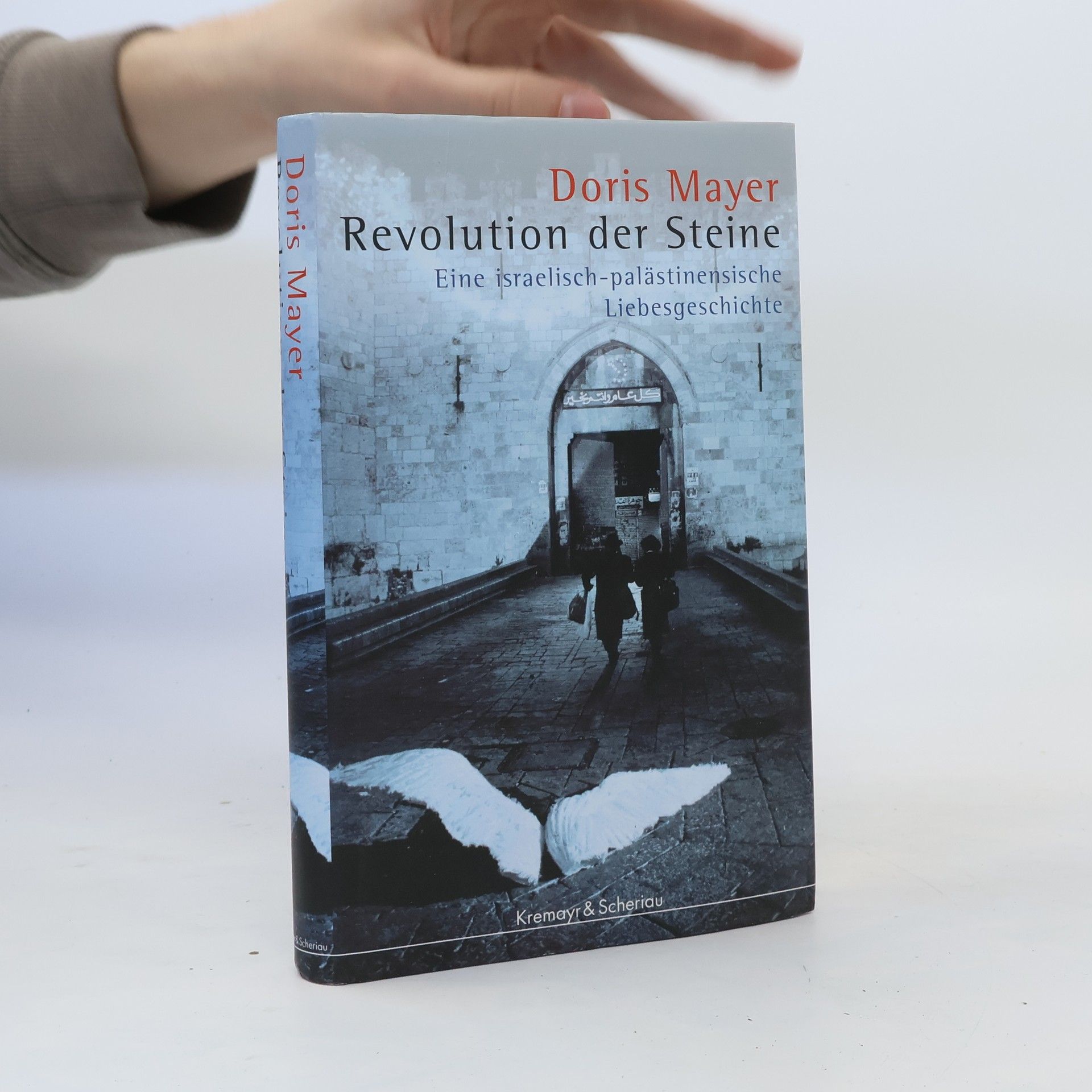 Doris Mayer Revolution der Steine