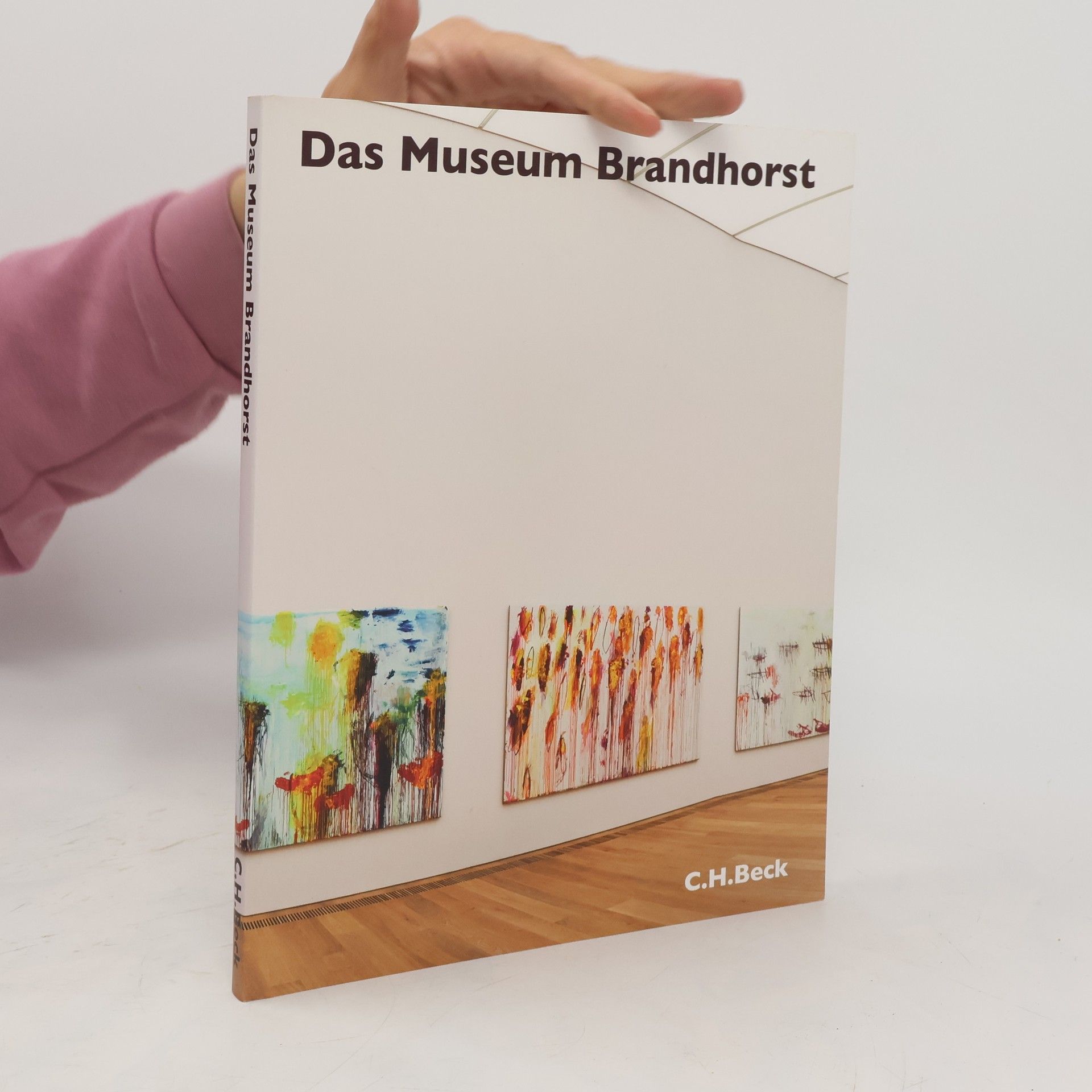 Anna Rühl Das Museum Brandhorst