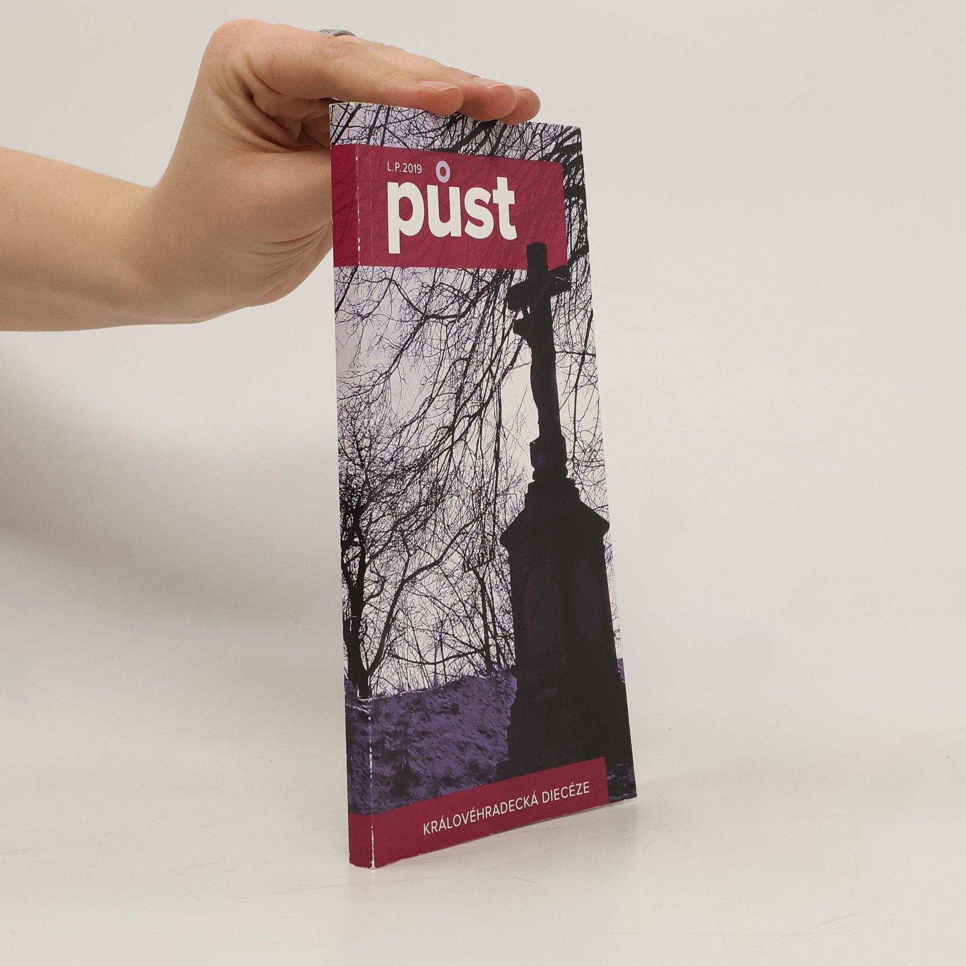 Jan Vokál L.P. 2019. Půst