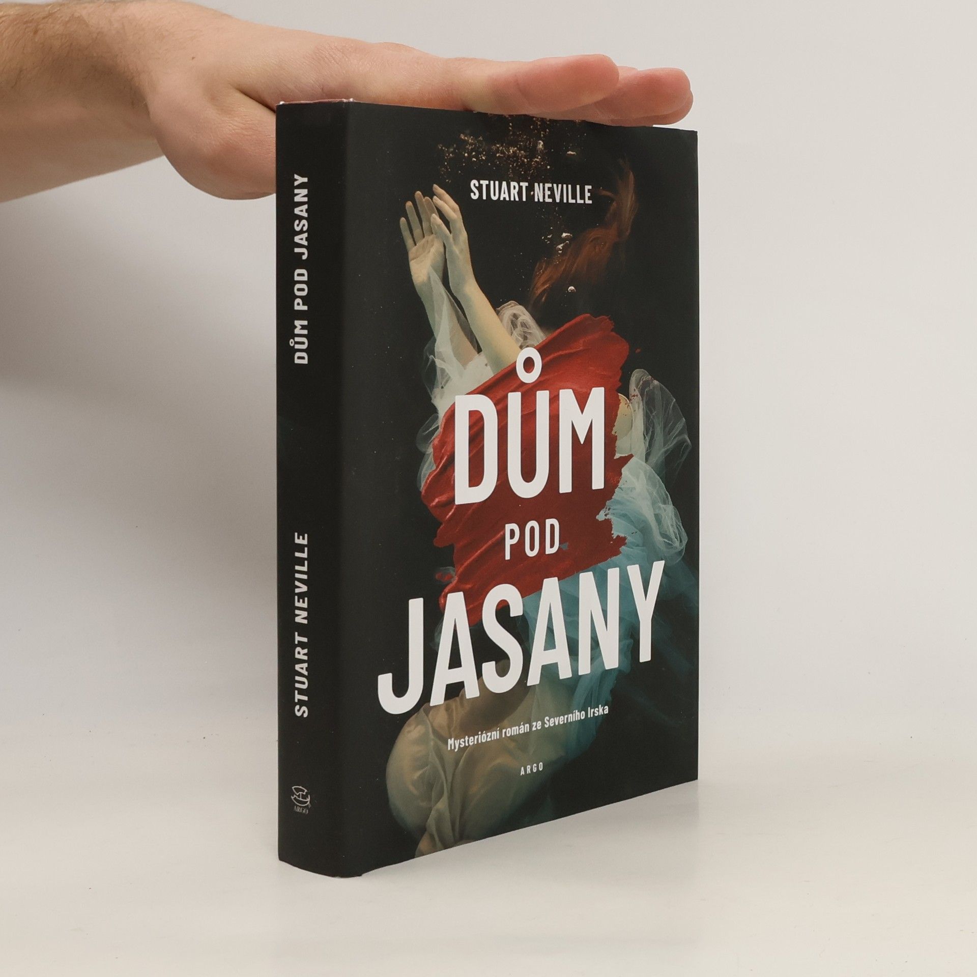 Stuart Neville Dům pod jasany