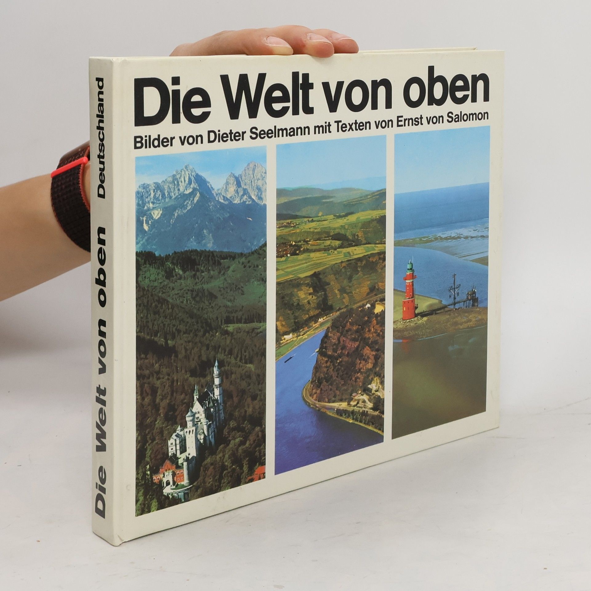 Dieter Seelmann Die Welt von oben