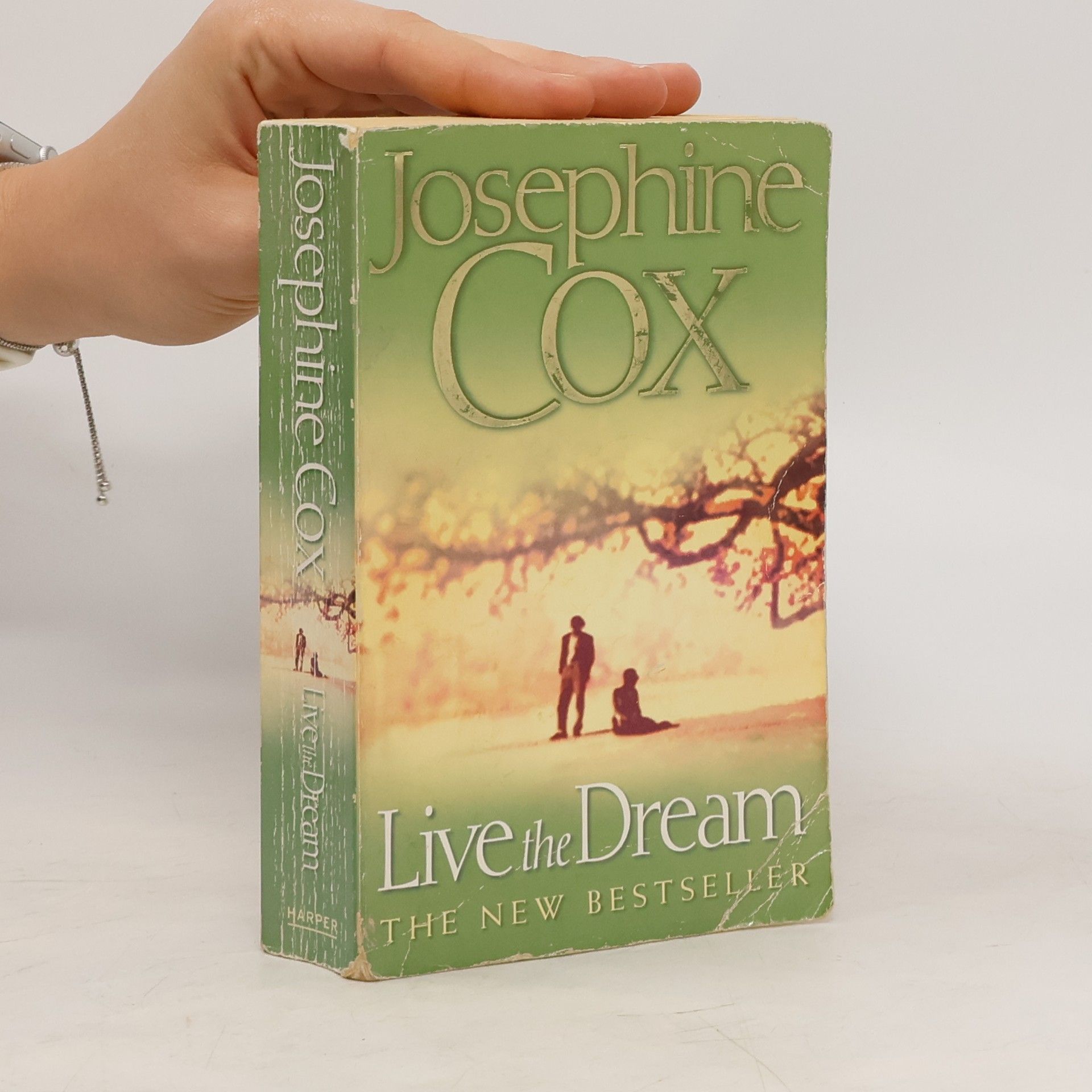 Josephine Cox Live the Dream