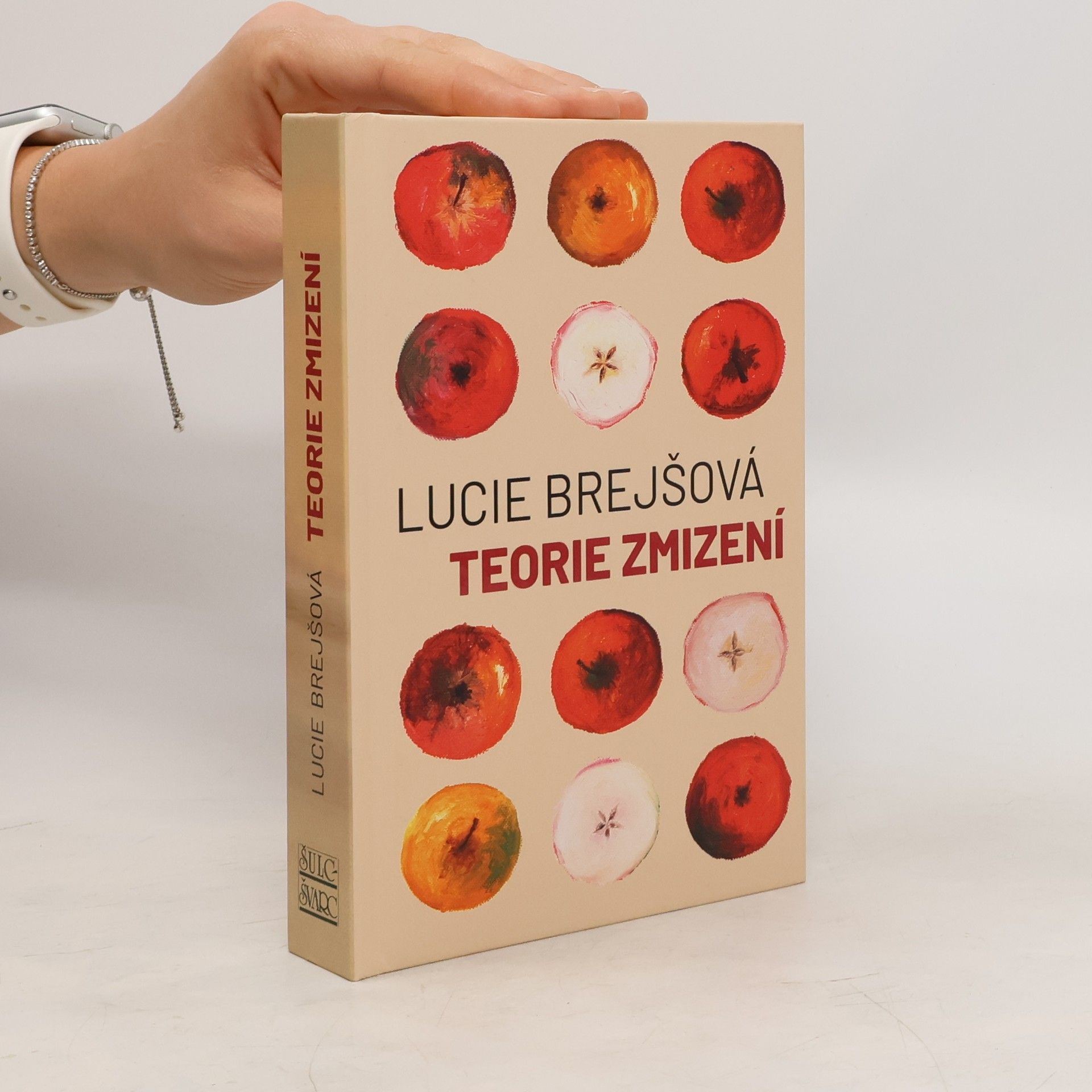 Lucie Brejšová Teorie zmizení