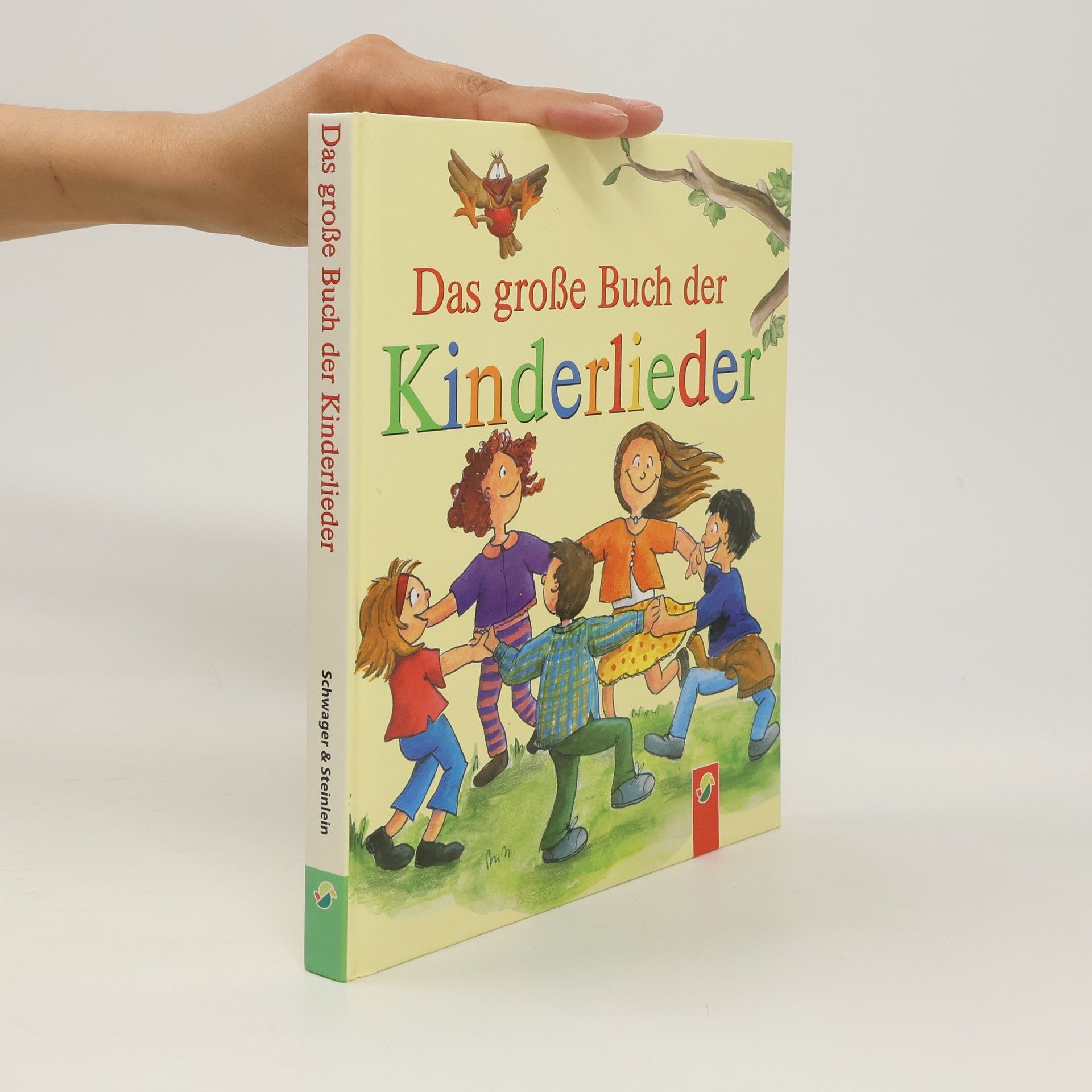 Autorenkollektiv Das große Buch der Kinderlieder