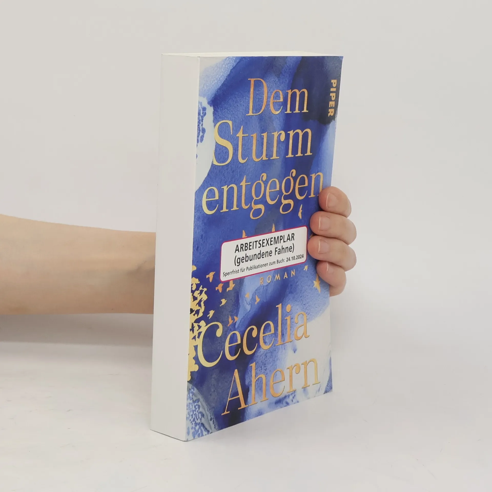 Dem Sturm entgegen | Buch | Paperback | Cecelia Ahern