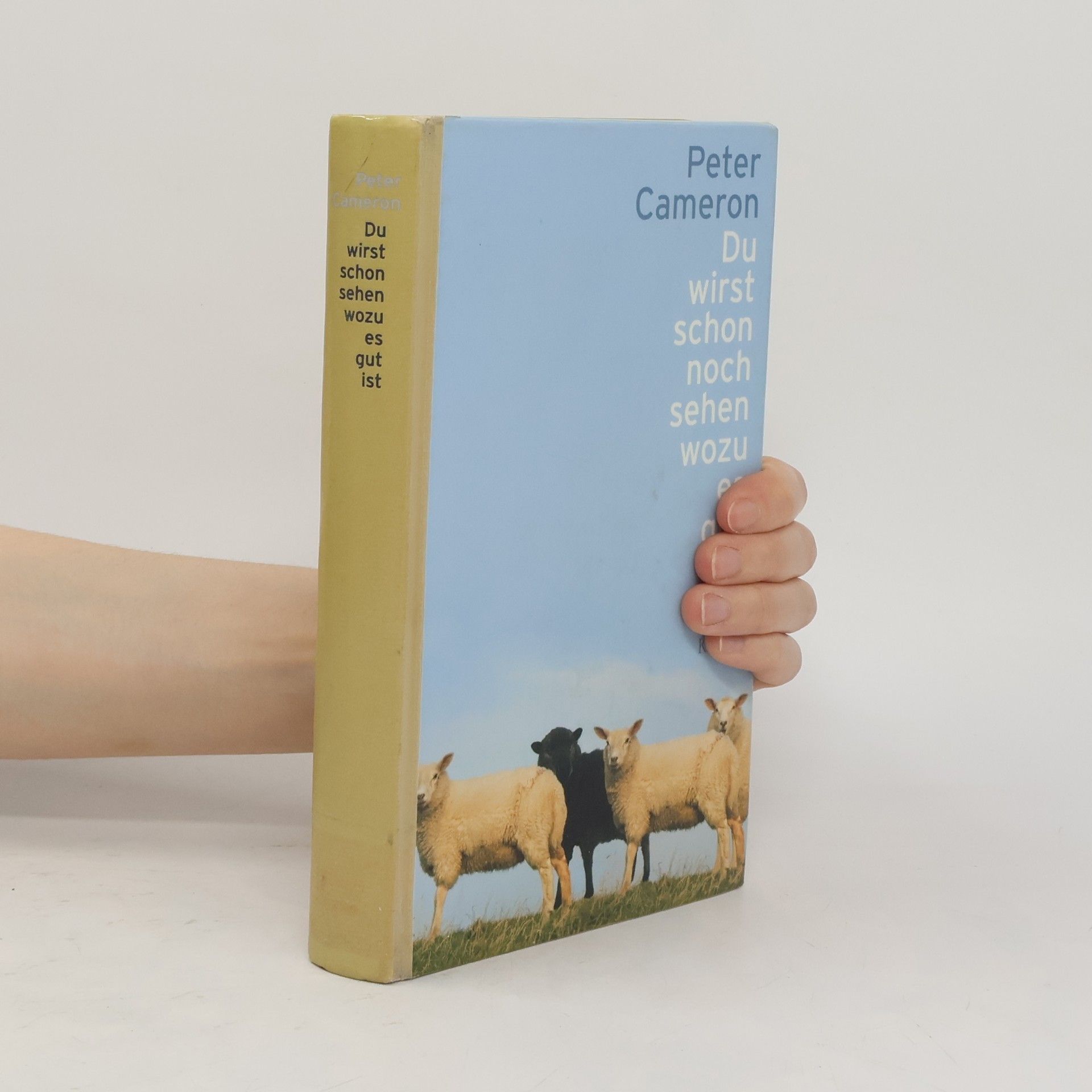 Peter Cameron Du wirst schon sehen wozu es gut ist