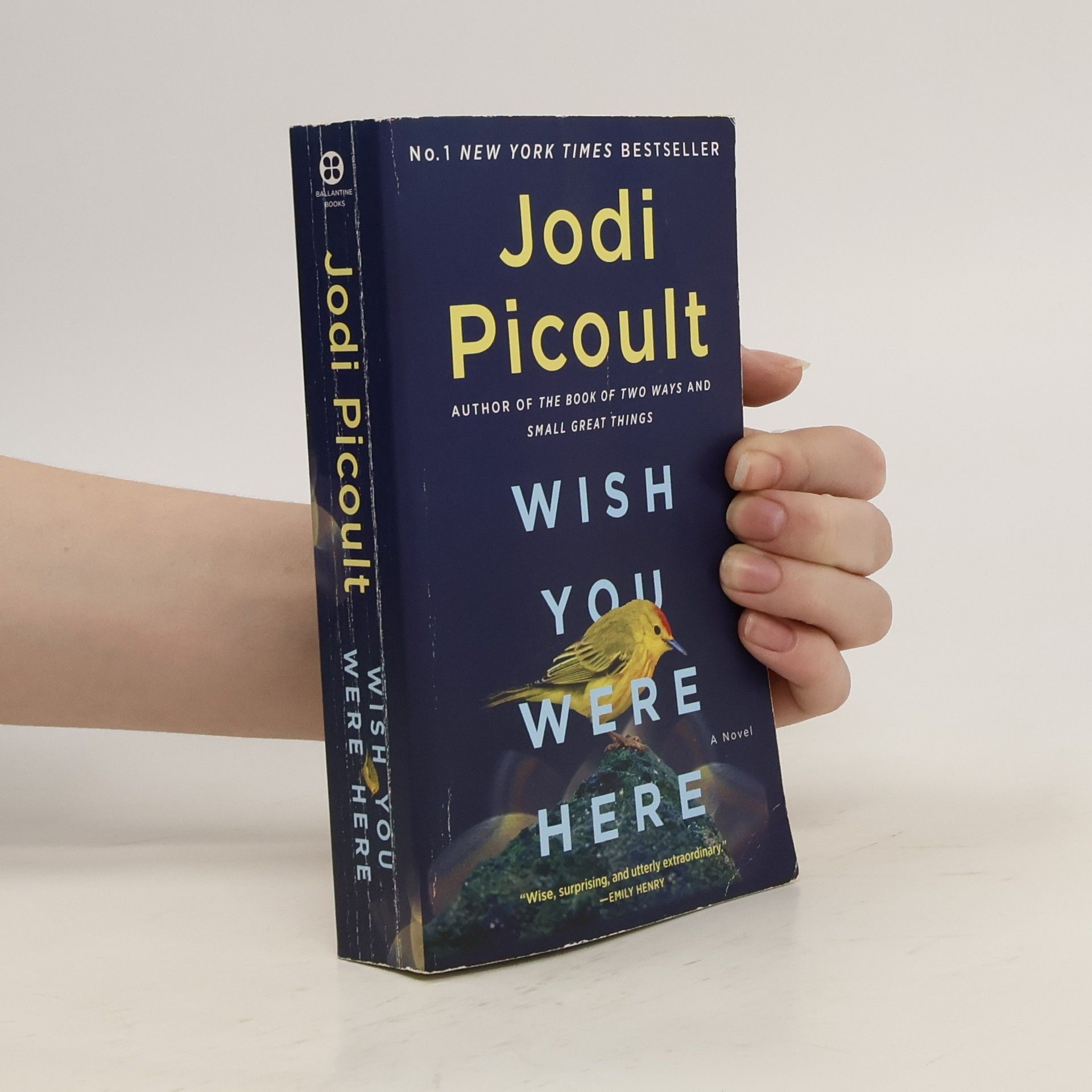 Jodi Picoult Wish You Were Here