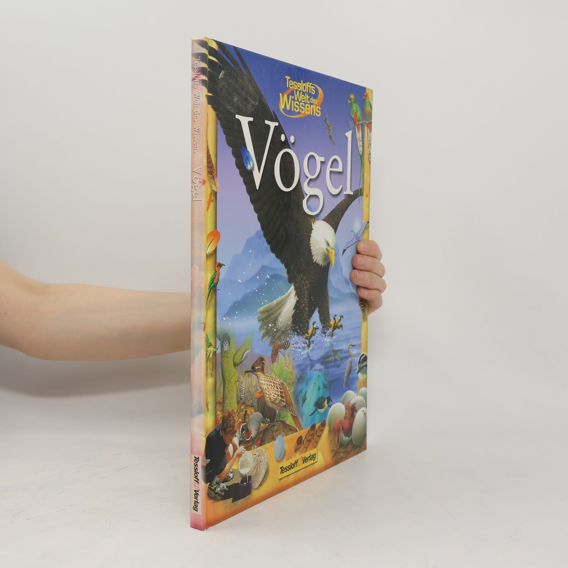 kolektiv Vögel