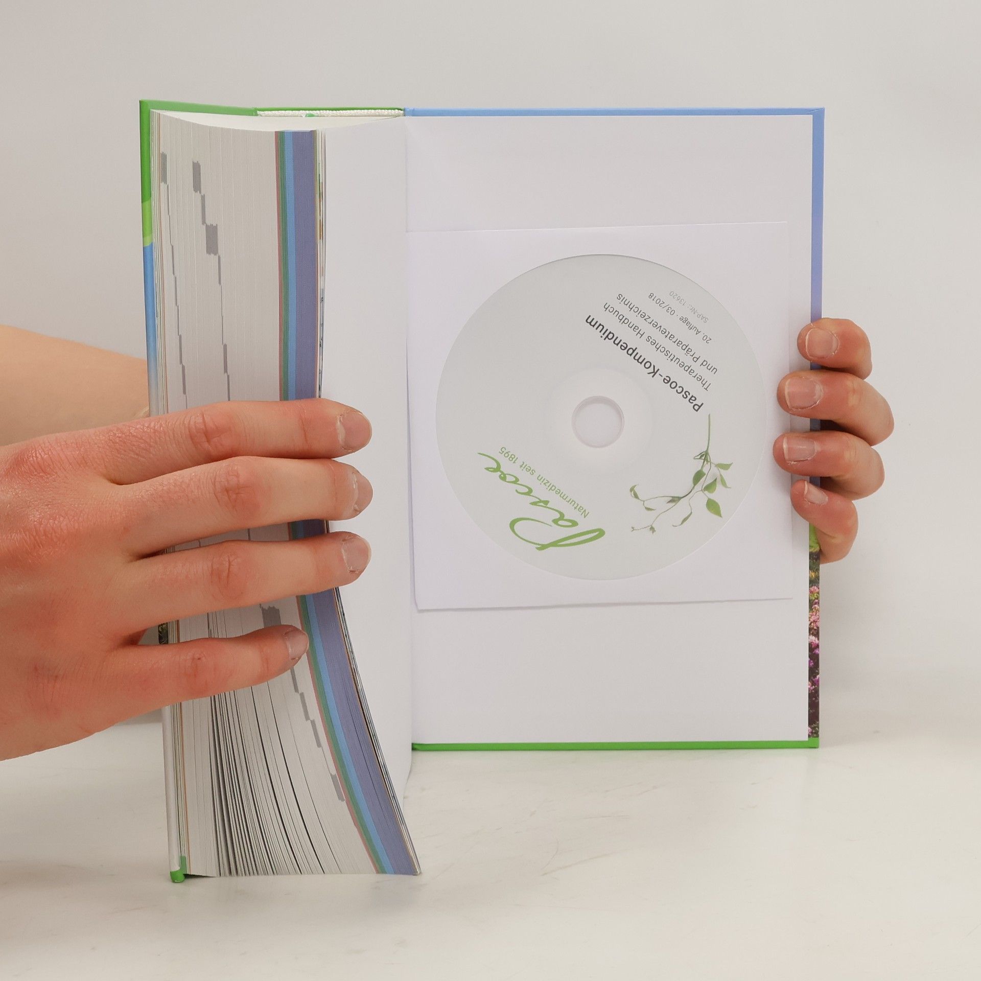 Autorenkollektiv Pascoe-Kompendium