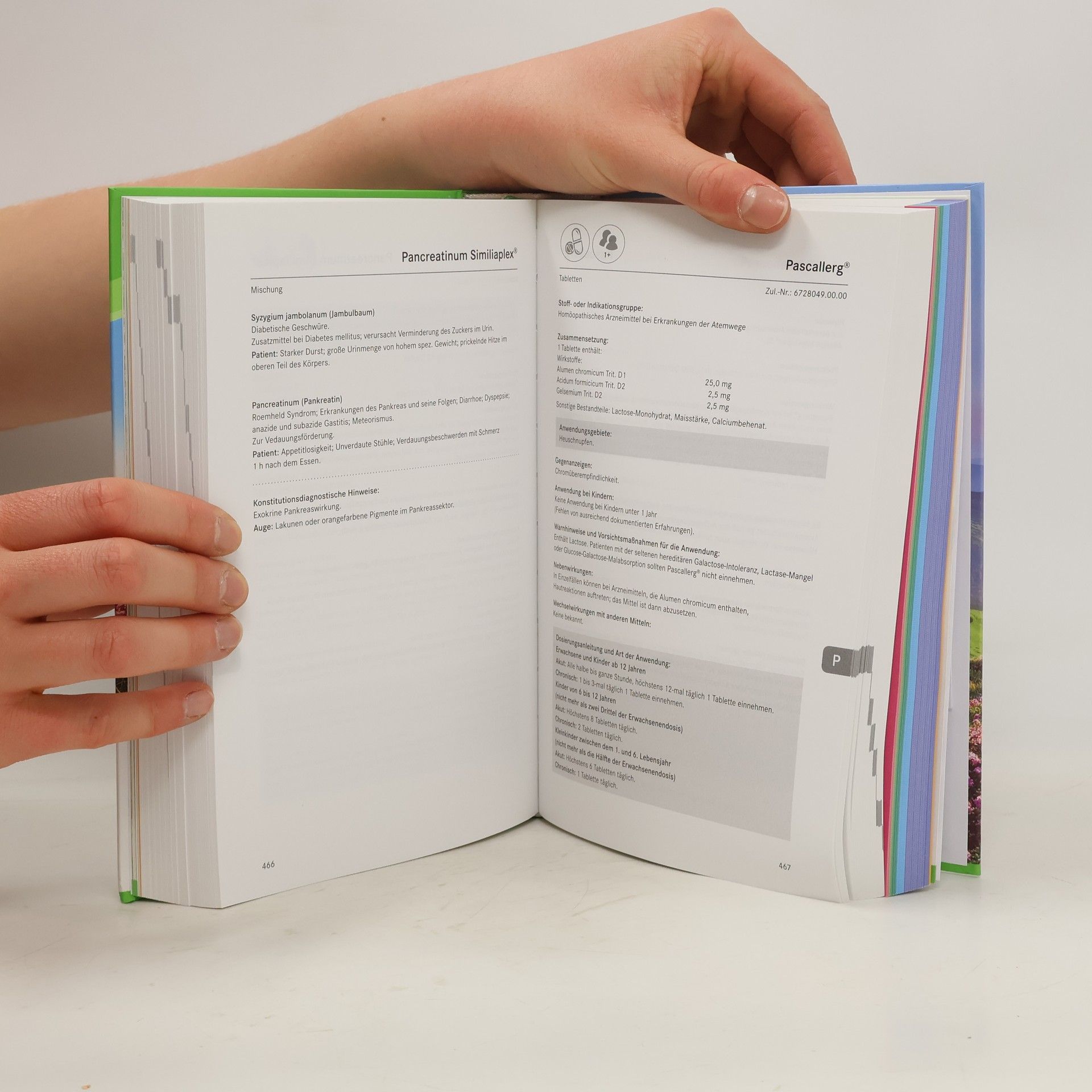 Autorenkollektiv Pascoe-Kompendium