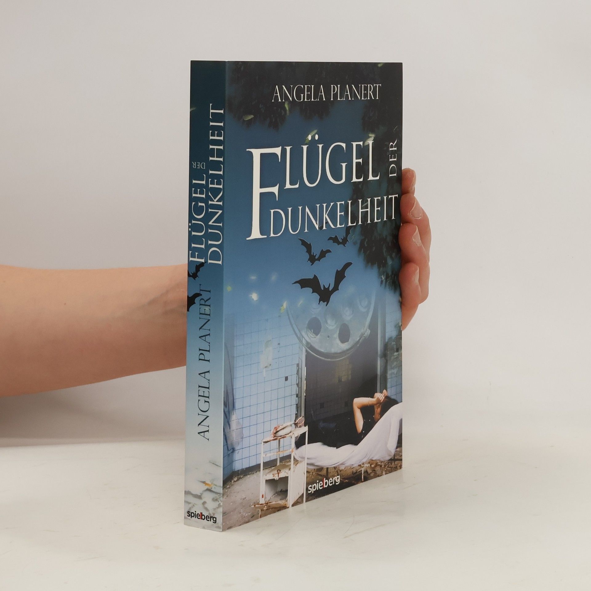Angela Planert Flügel der Dunkelheit