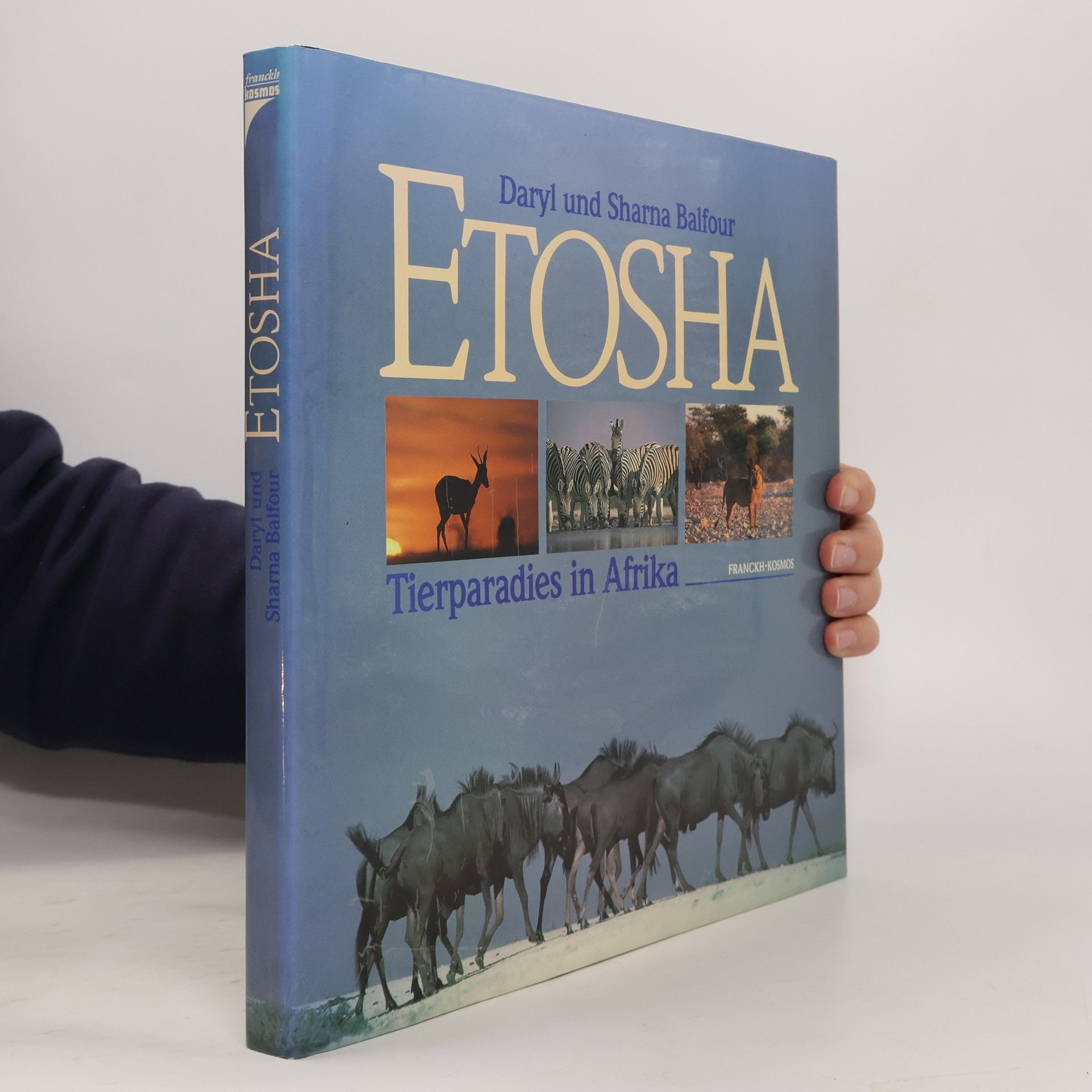 Daryl Balfour Etosha