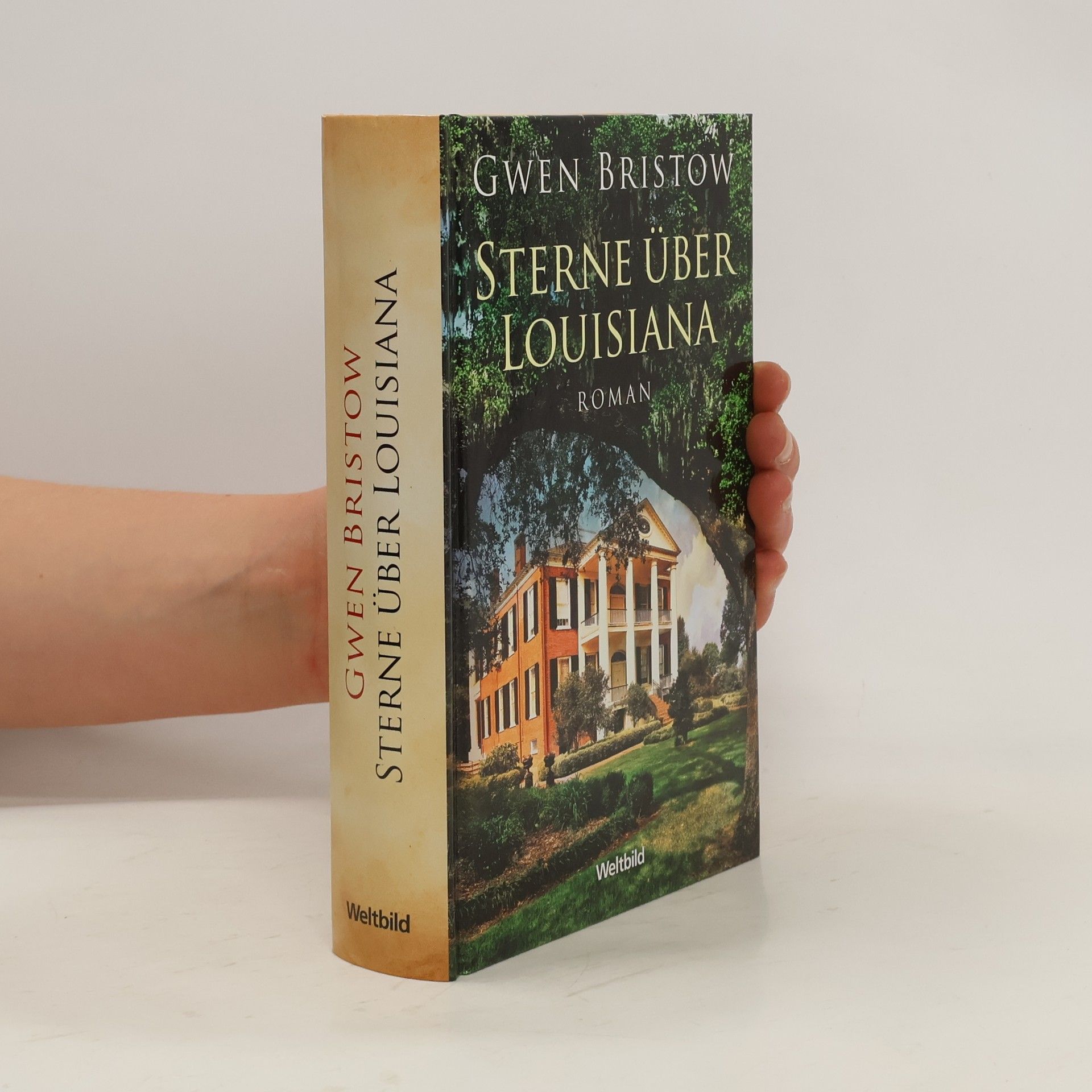Gwen Bristow Louisiana-Trilogie 1. Tiefer Süden