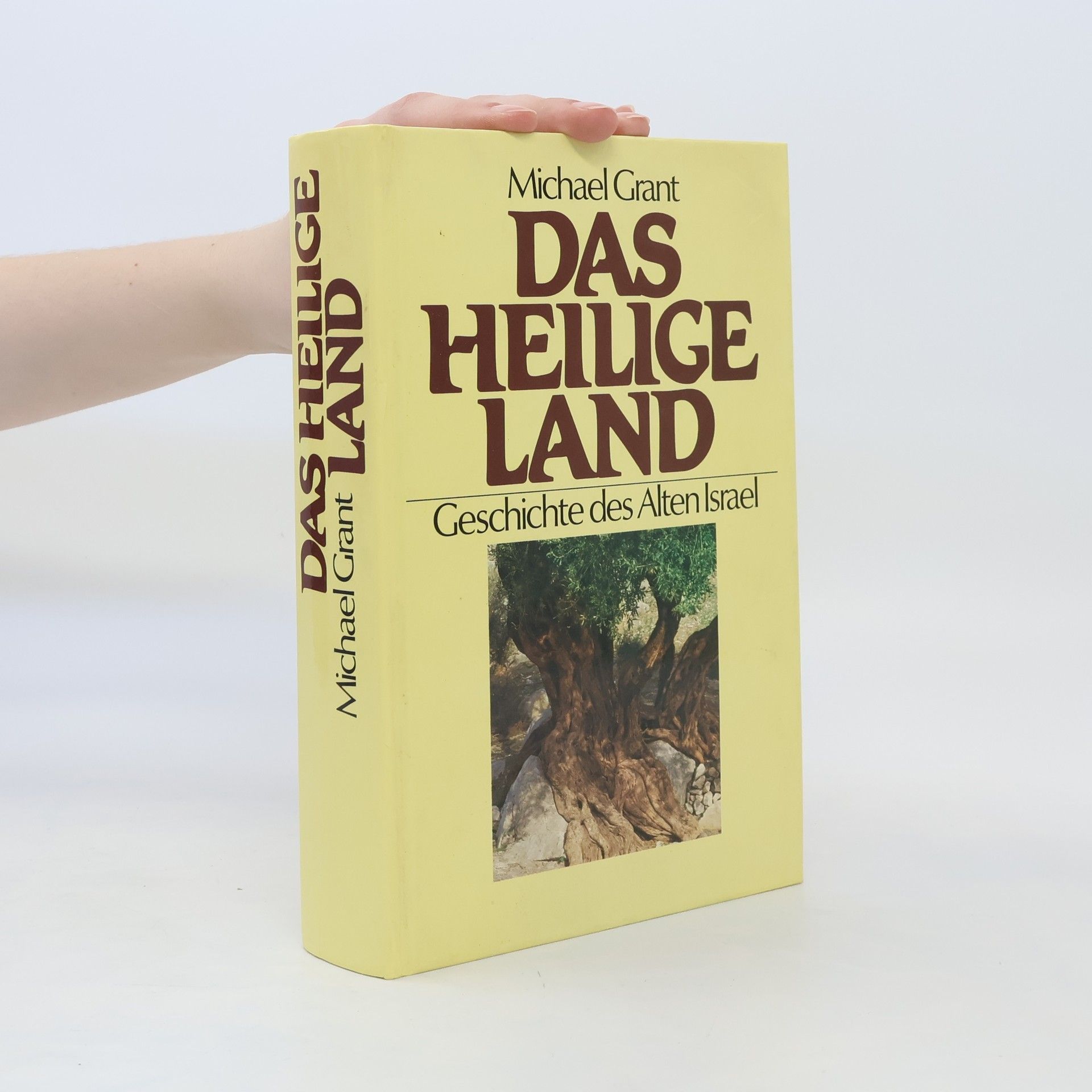 Michael Grant Das Heilige Land