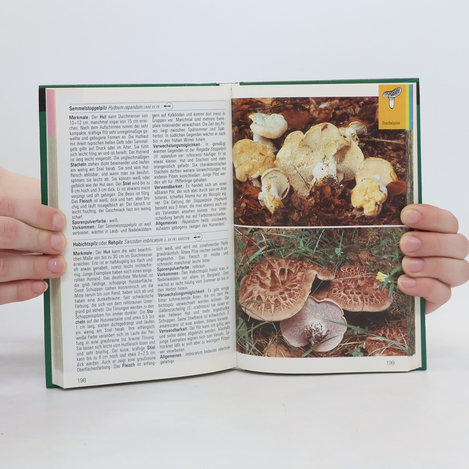 Various authors Pilze
