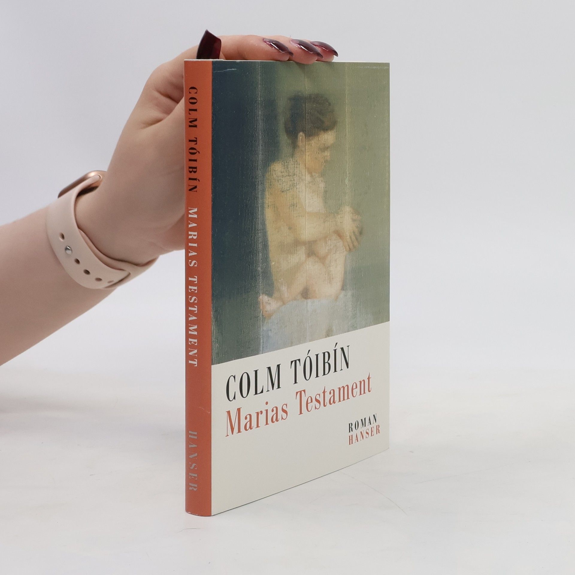 Colm Tóibín Marias Testament