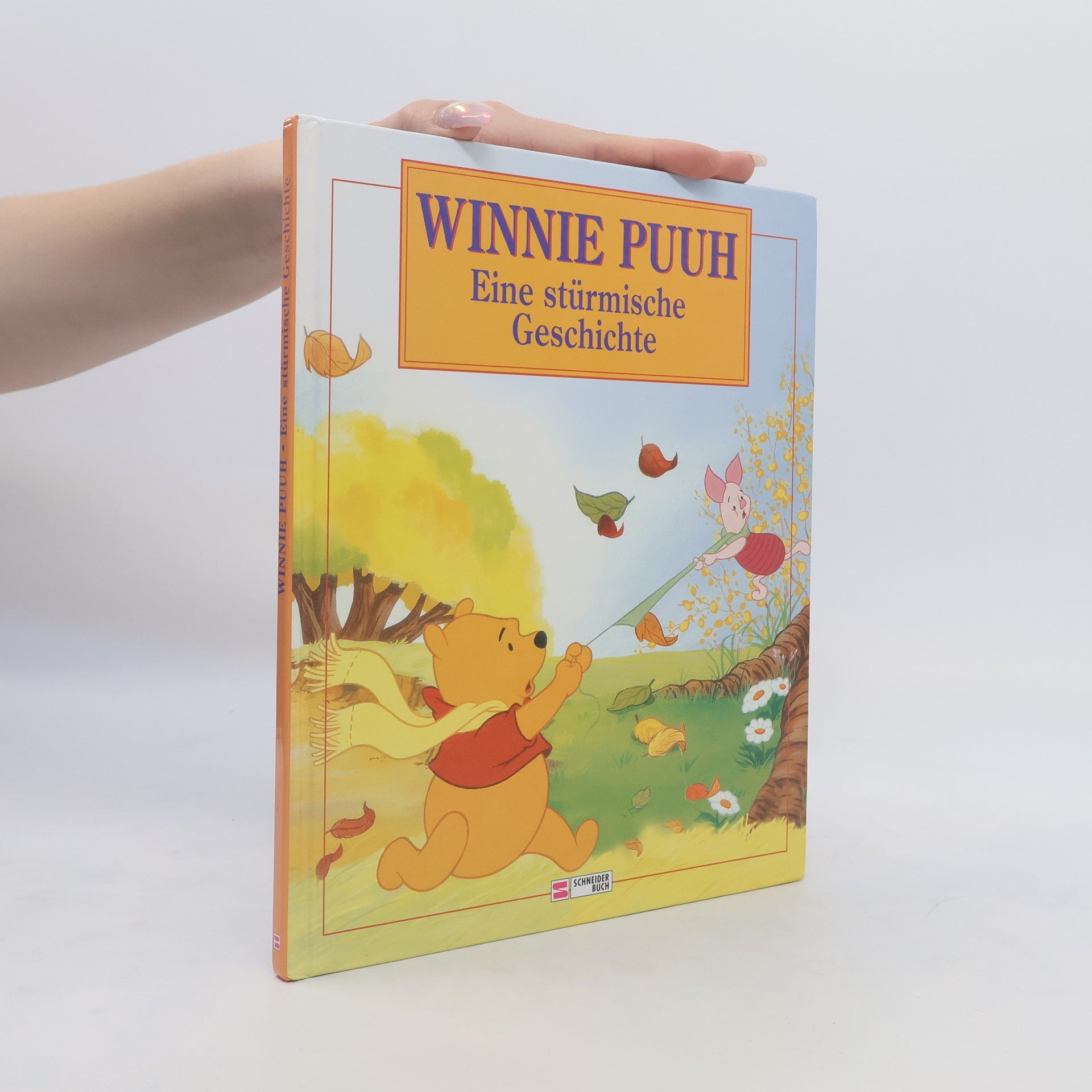 Collectif d'auteurs Winnie Puuh, Eine stürmische Geschichte