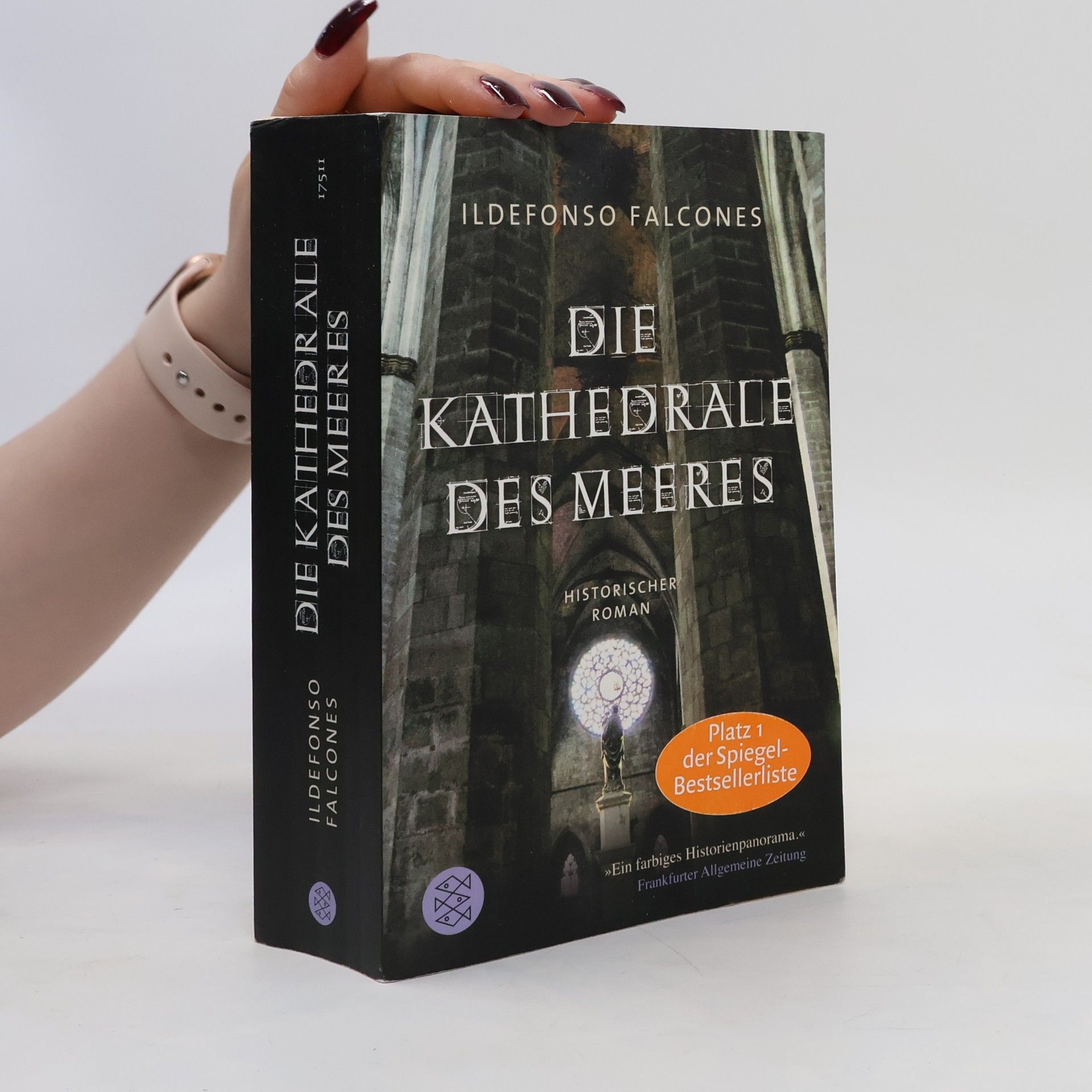 Ildefonso Falcones Die Kathedrale des Meeres