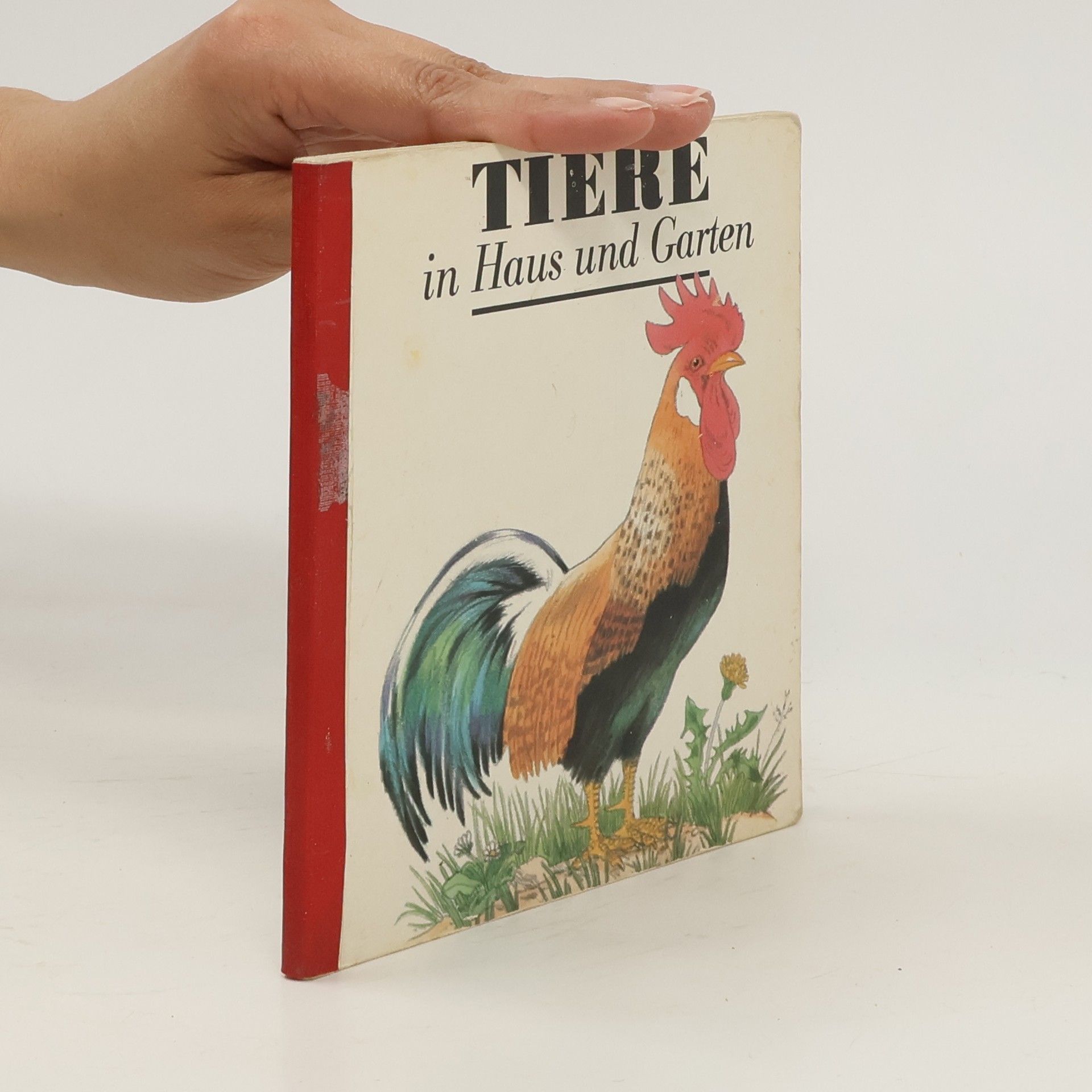 kolektiv Tiere in Haus und Garten